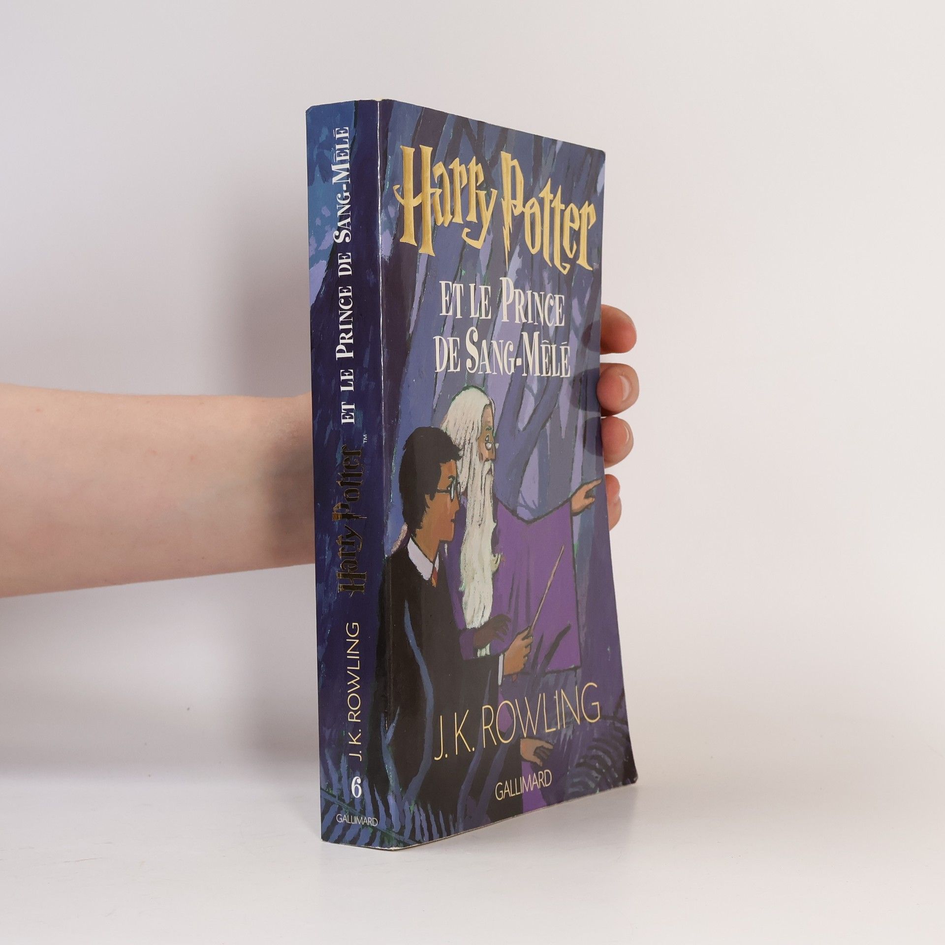 Joanne K. Rowlingová Harry Potter et le Prince de sang-mêlé