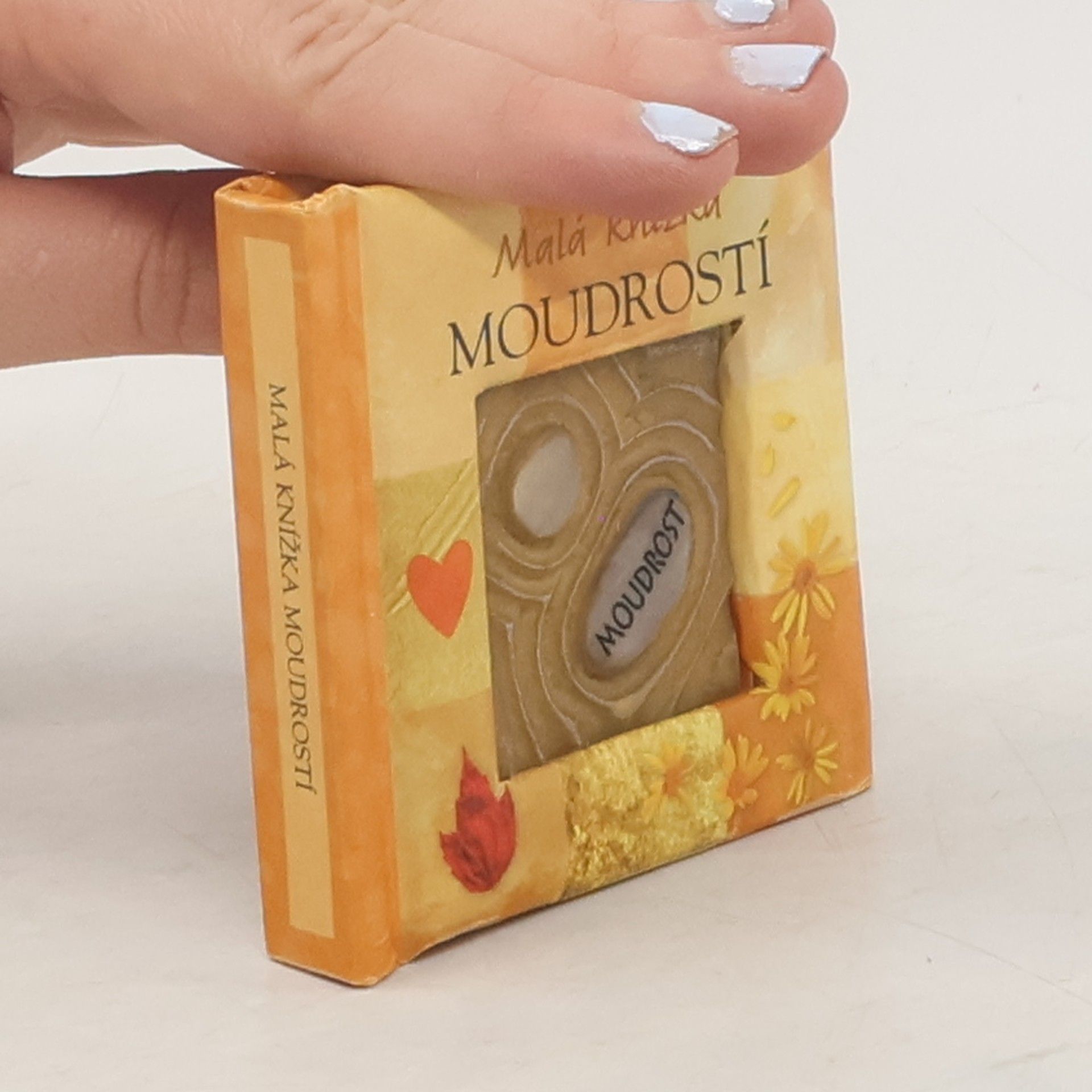 Kolektiv autorů Malá knížka moudrostí