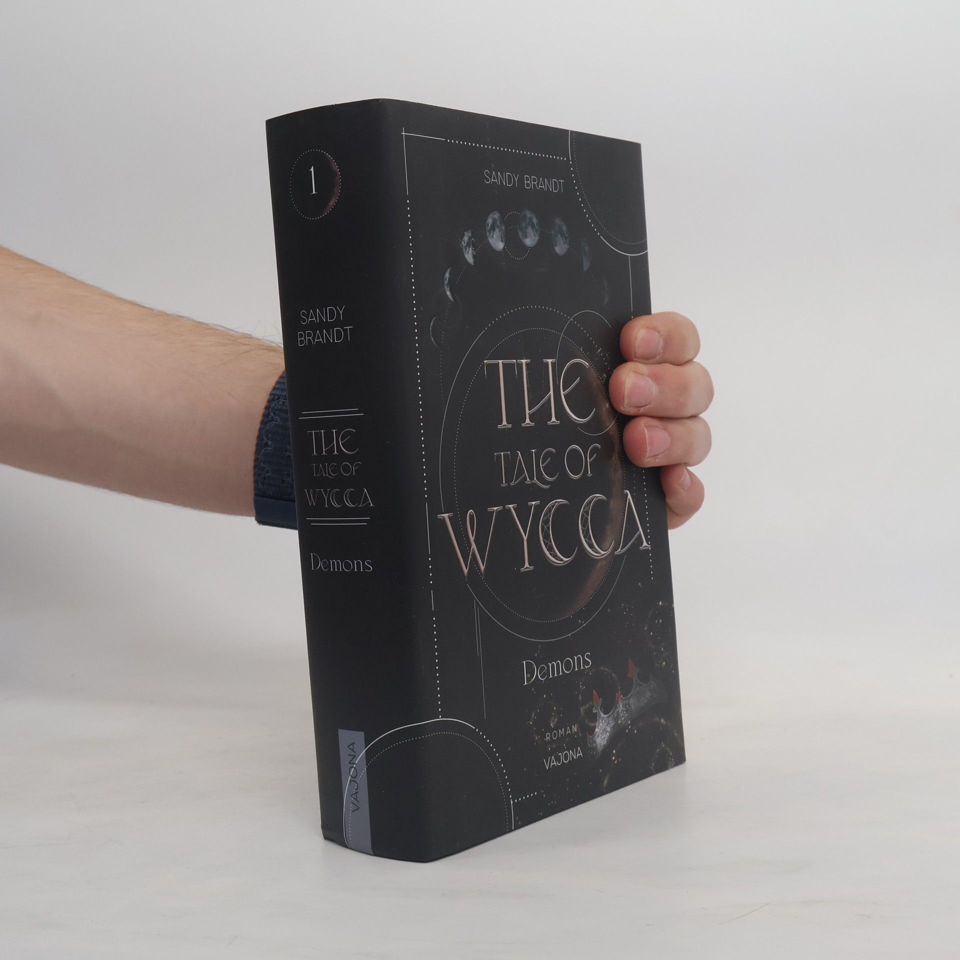 Sandy Brandt THE TALE OF WYCCA: Demons (WYCCA-Reihe 1)