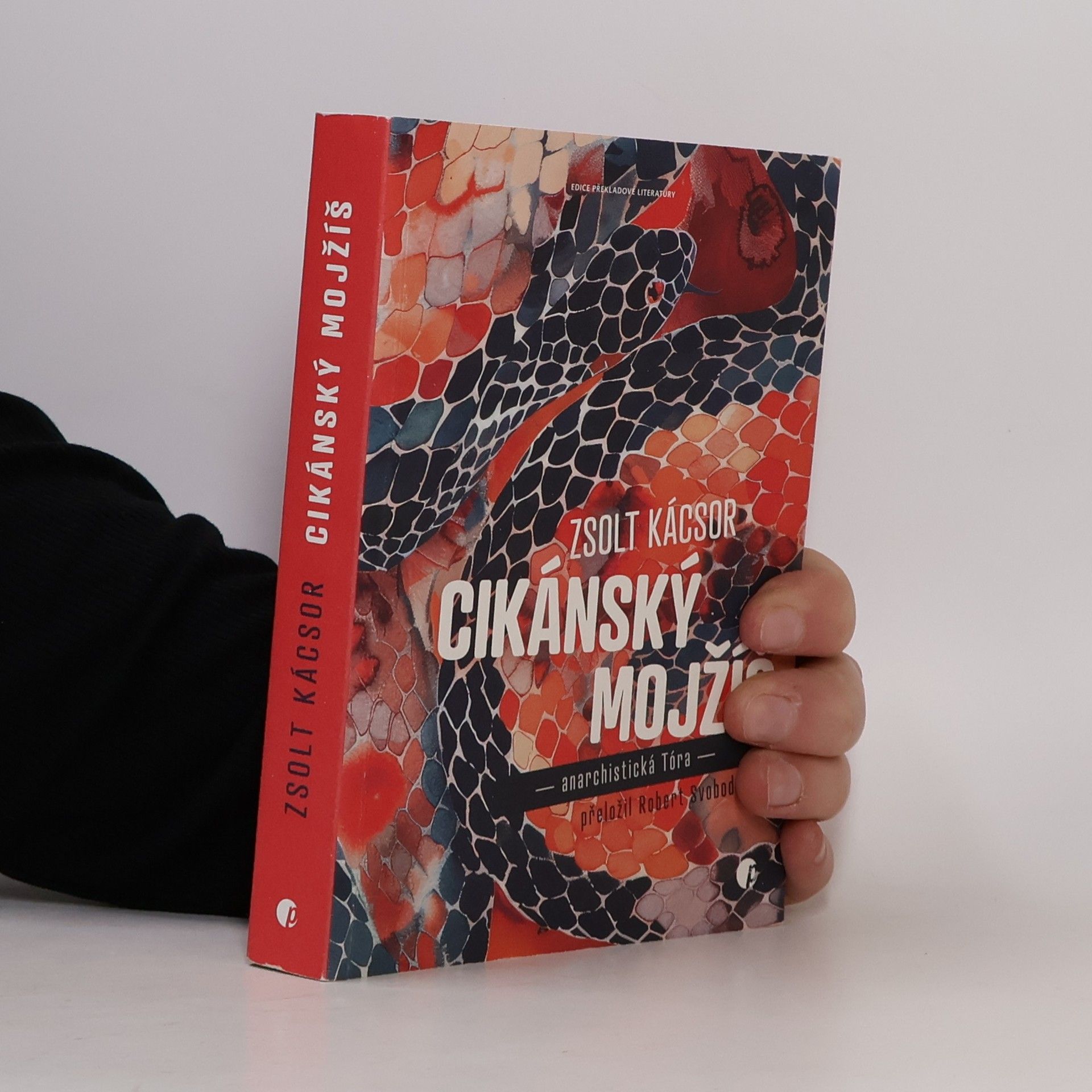 Zsolt Kácsor Cikánský Mojžíš