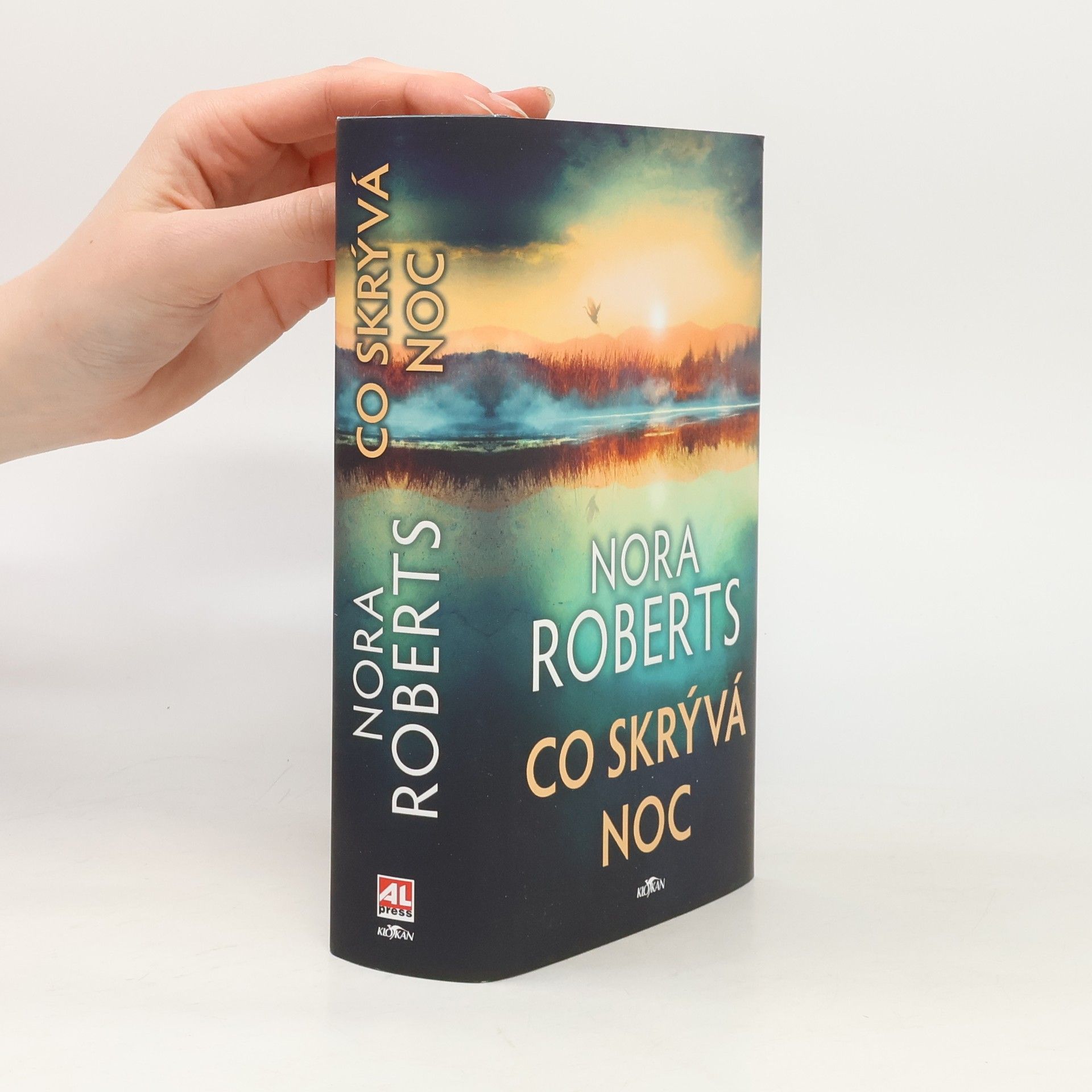 Nora Roberts Co skrývá noc