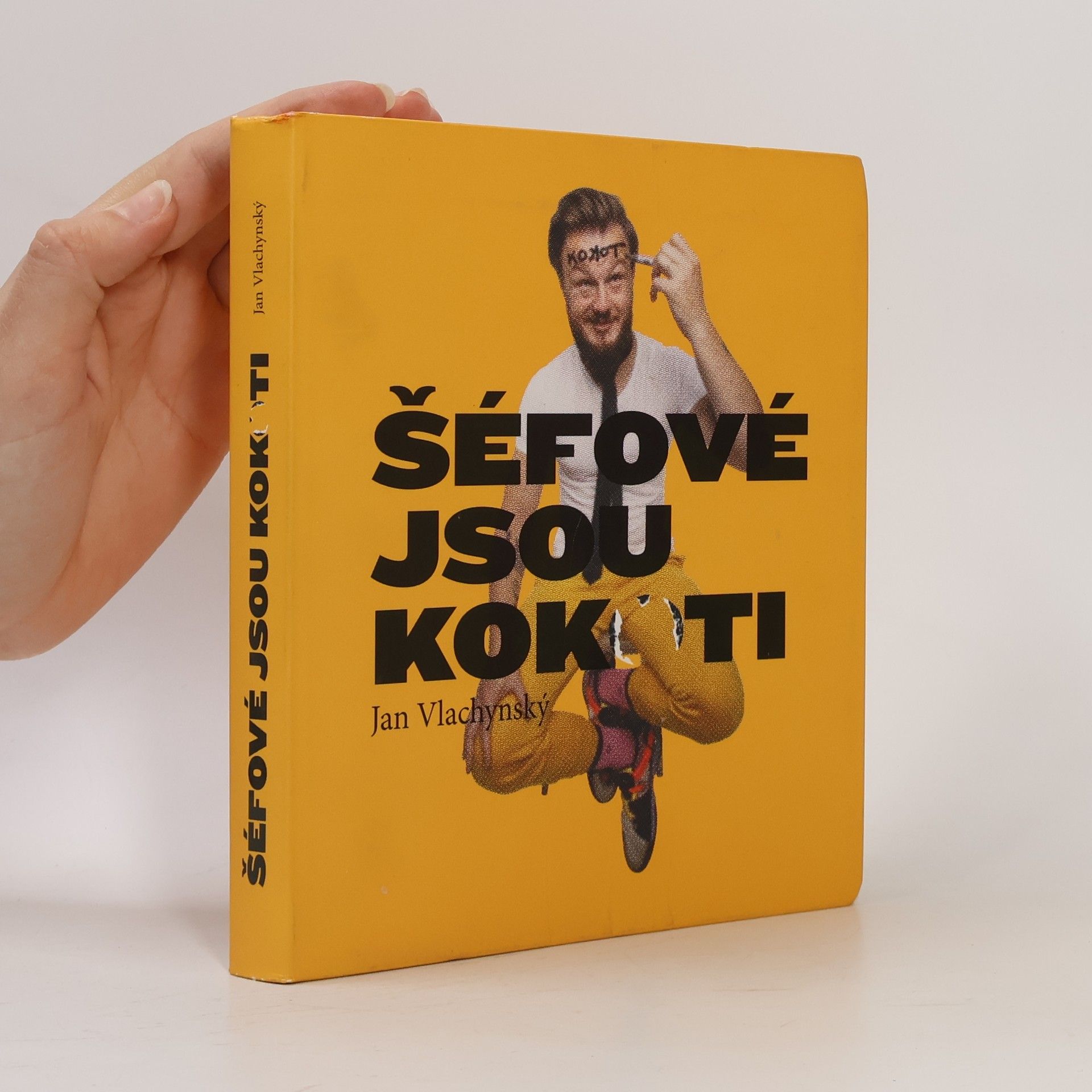 Jan Vlachynský Šéfové jsou kokoti