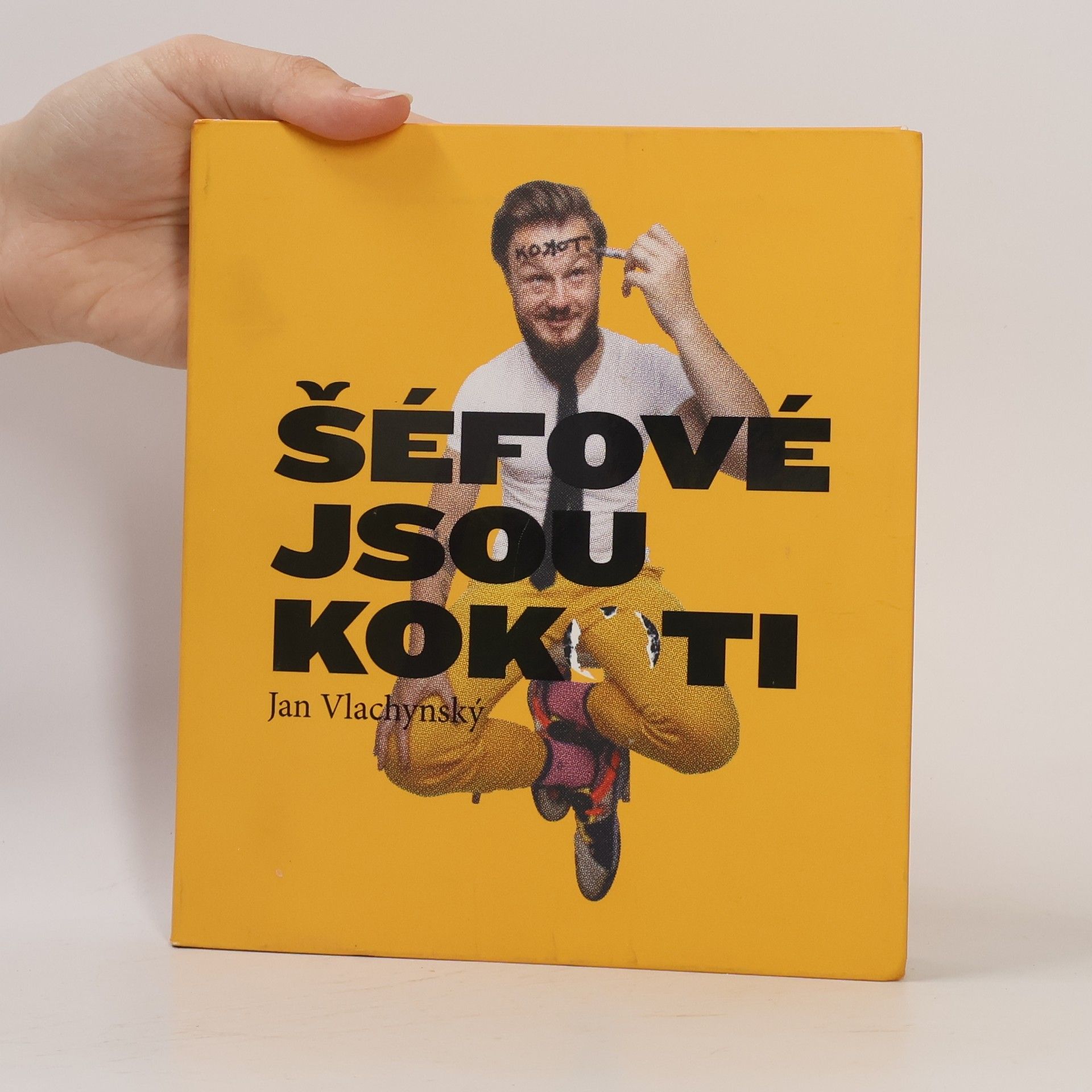 Jan Vlachynský Šéfové jsou kokoti