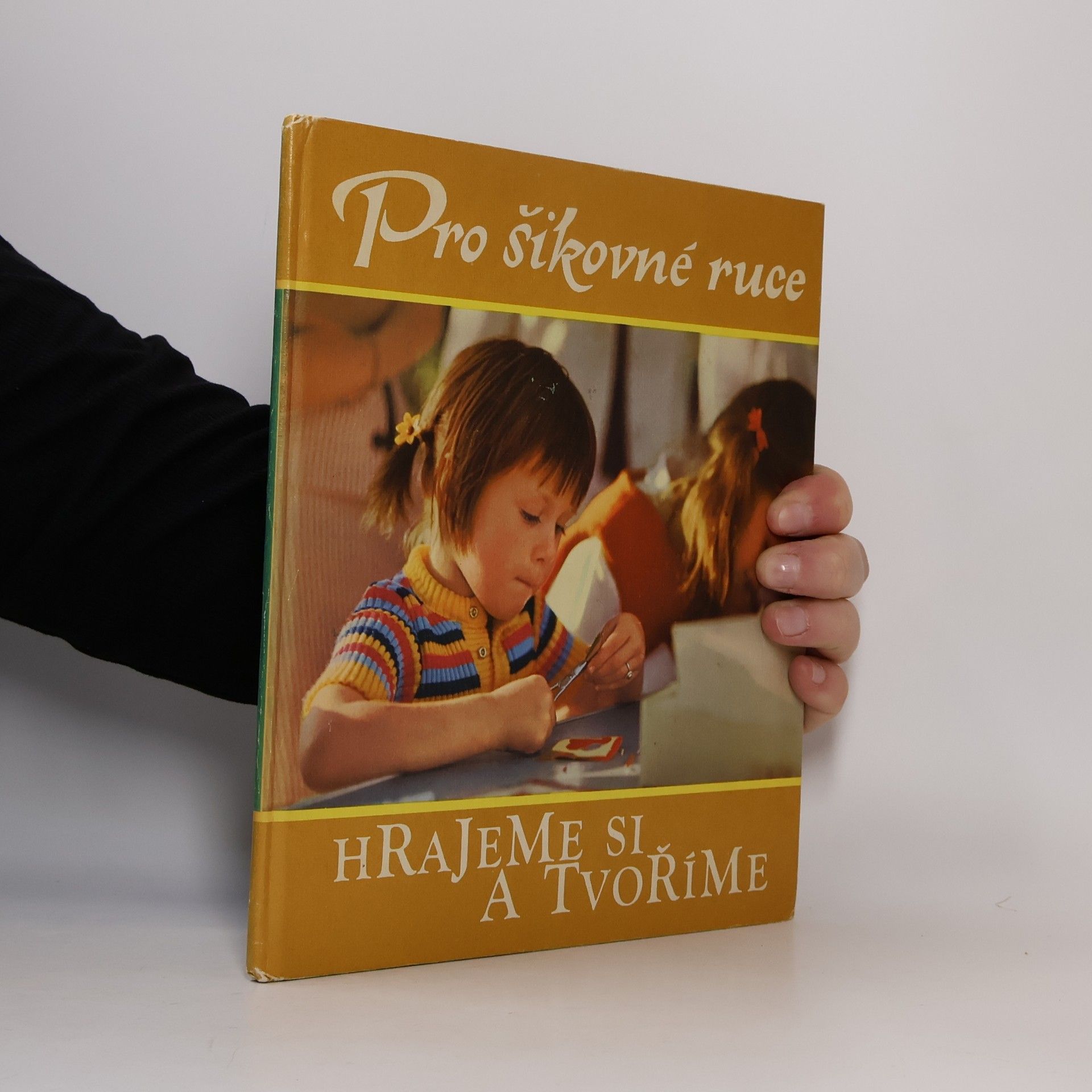 P. Havelka Pro šikovné ruce. Hrajeme si a tvoříme