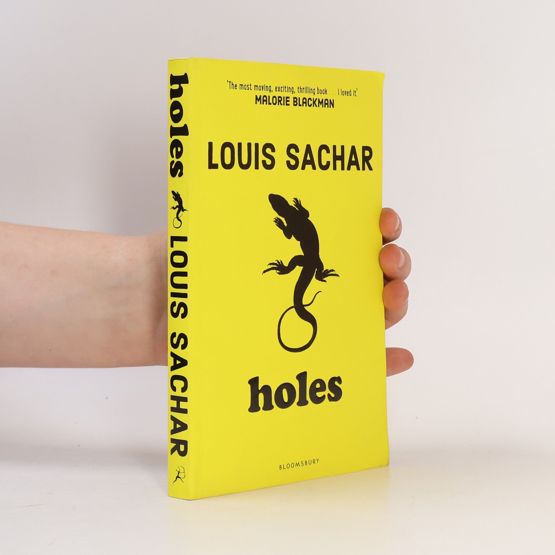 Louis Sachar Holes