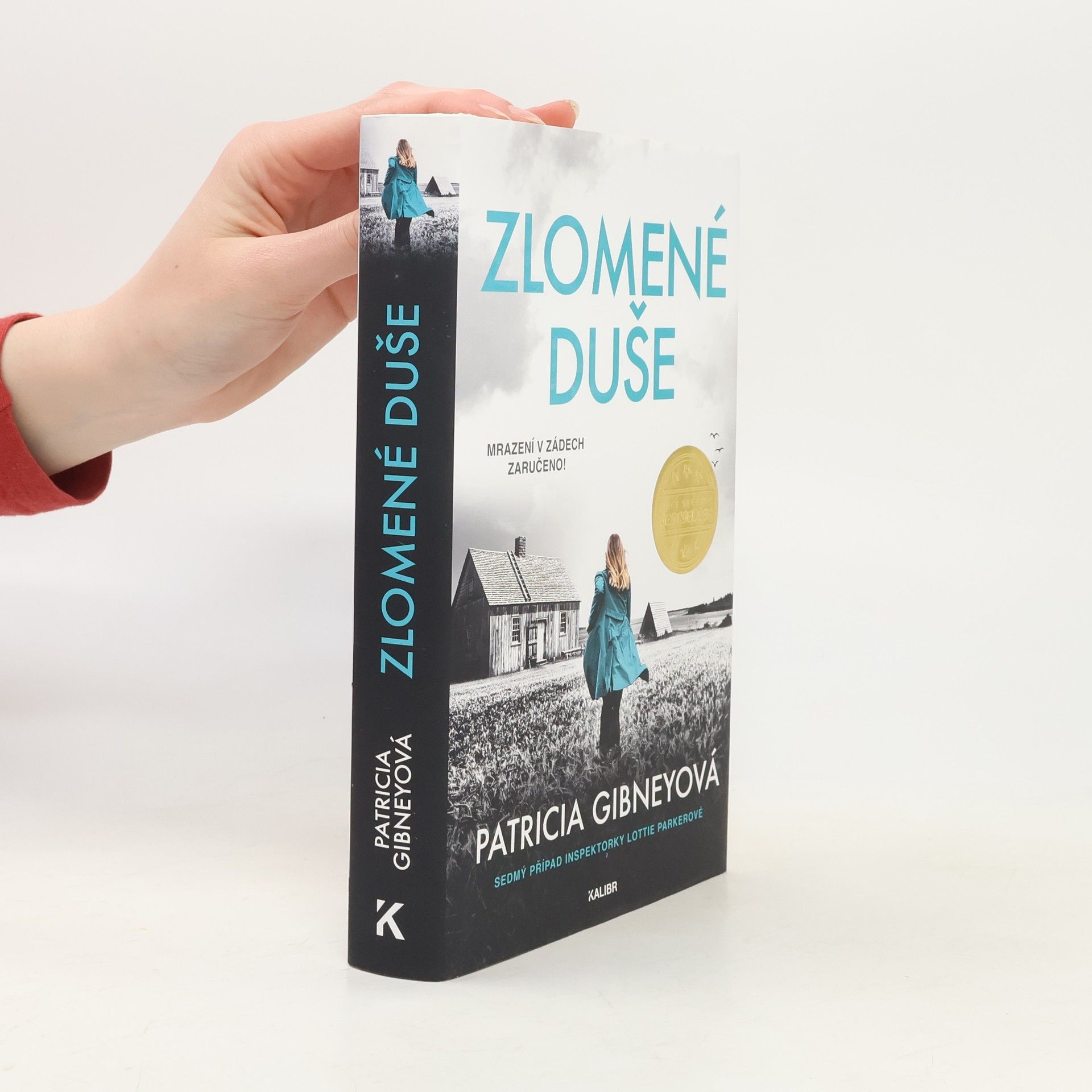 Patricia Gibney Zlomené Duše
