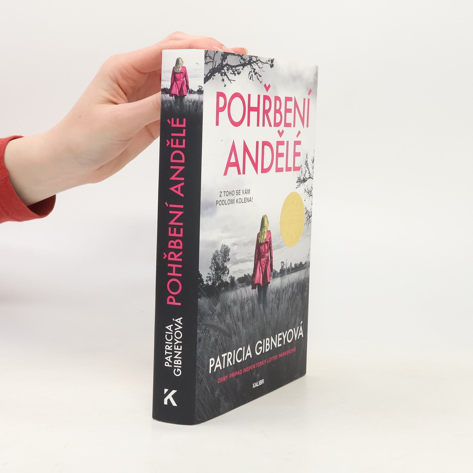 Patricia Gibney Pohřbení andělé