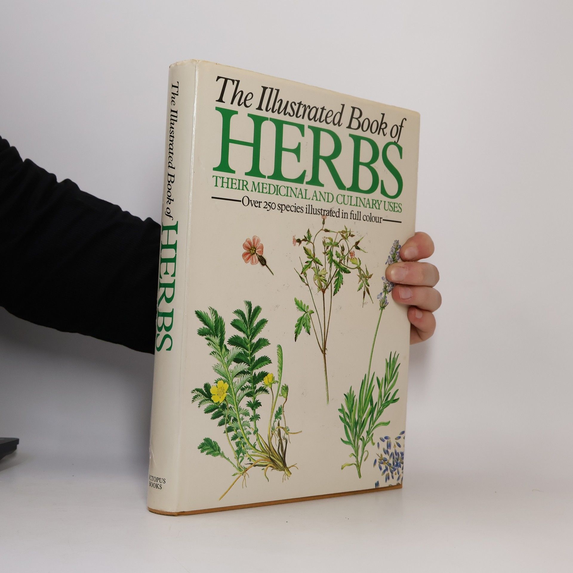 Sarah Bunney The Illustrated Book of Herbs