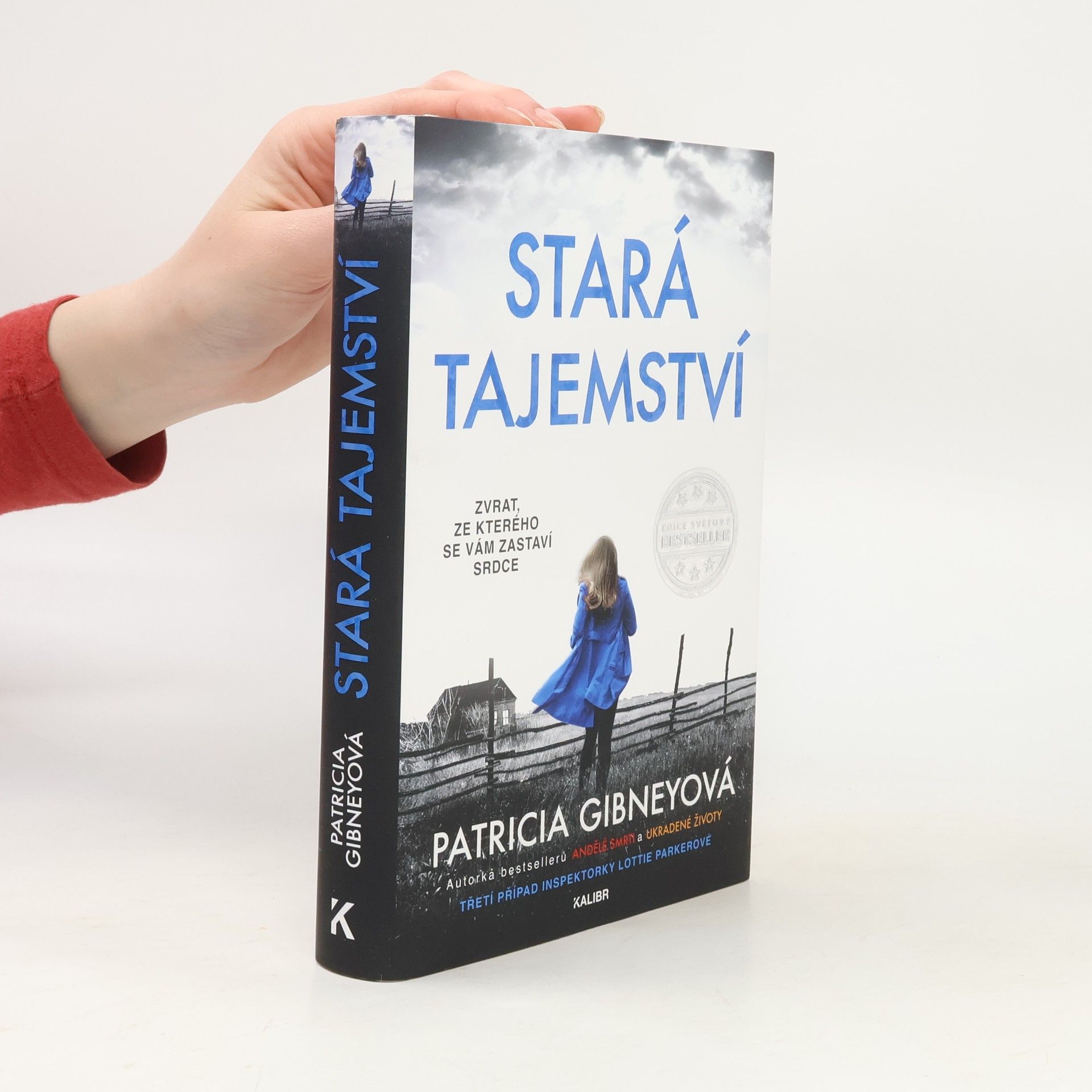 Patricia Gibney Stará tajemství