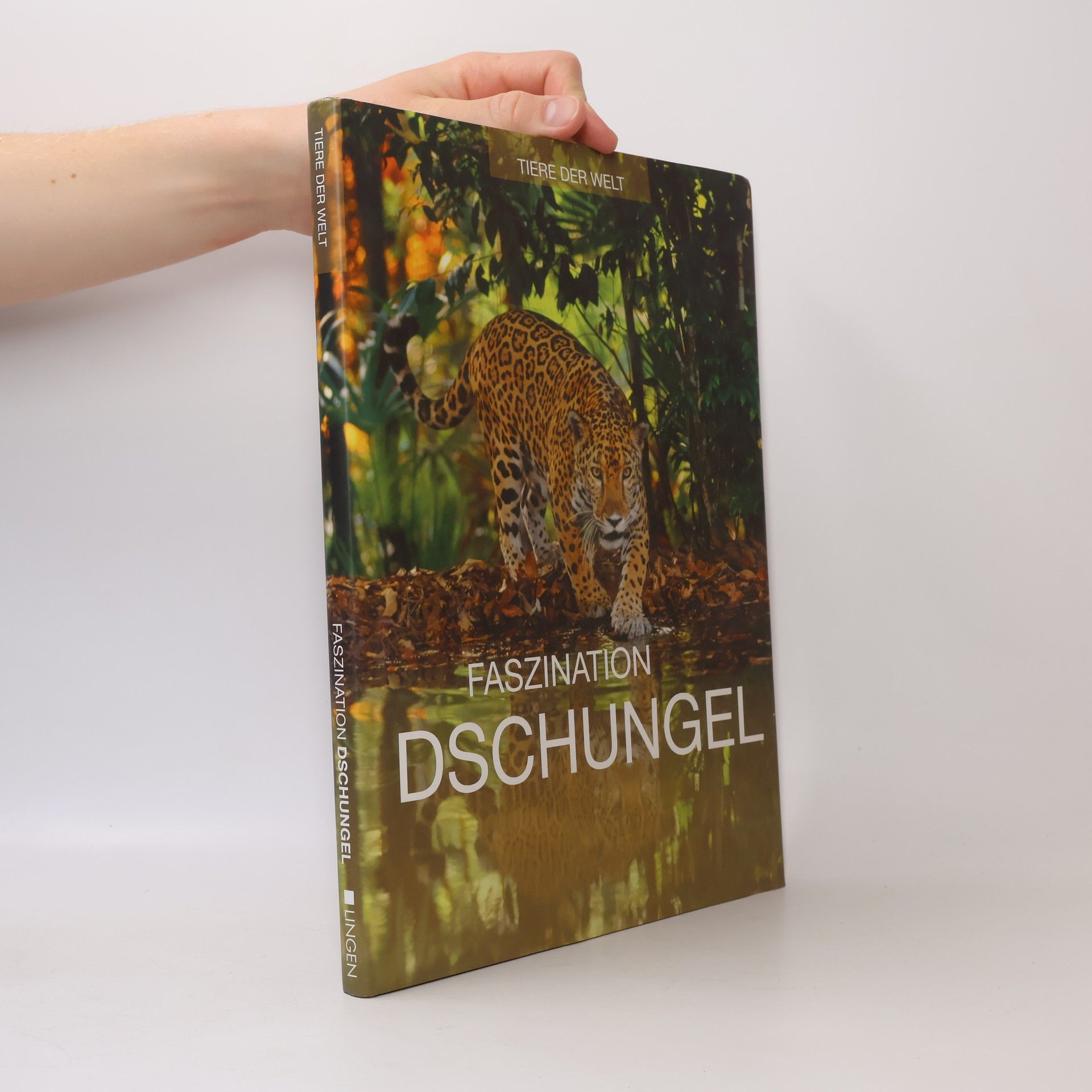 Various authors Faszination Dschungel