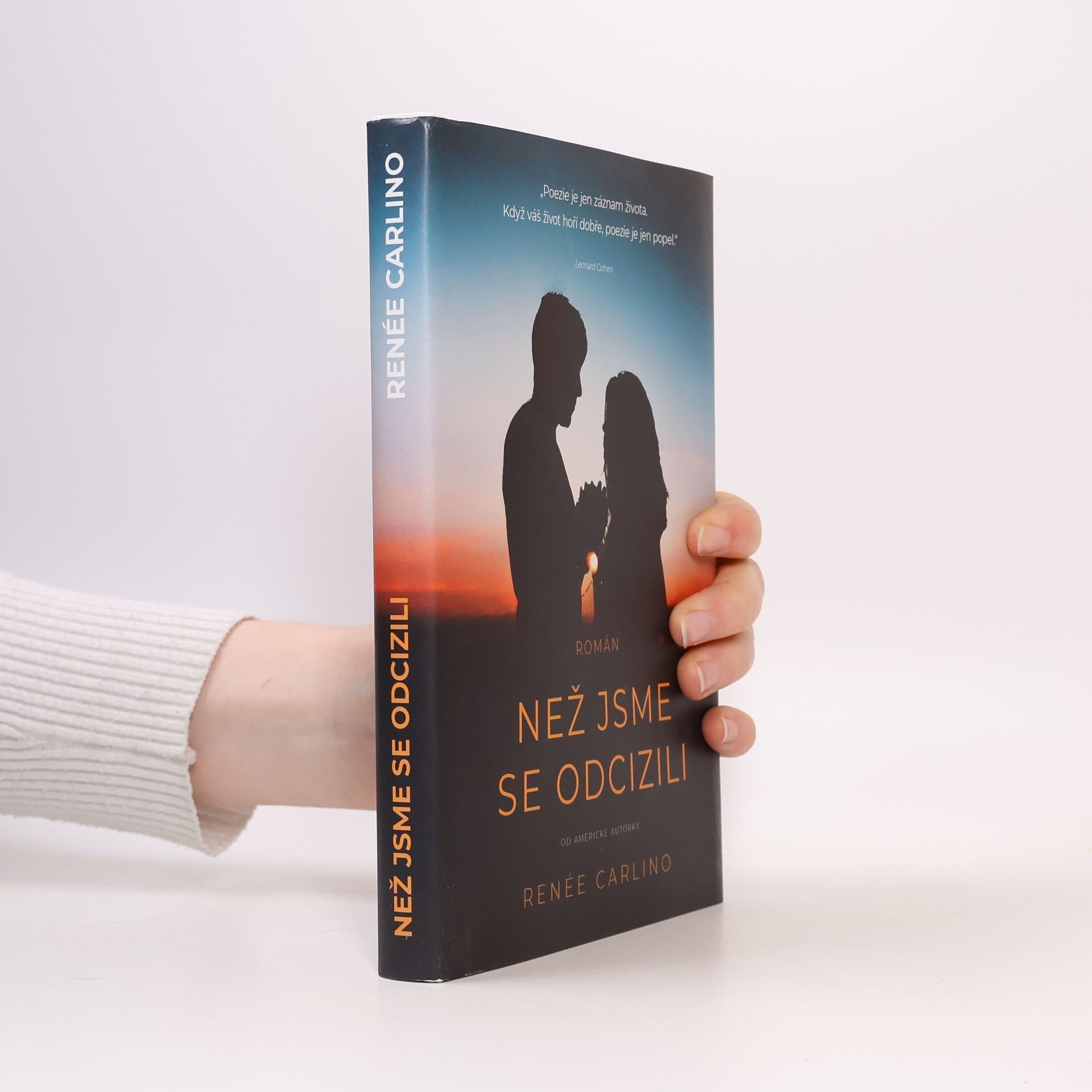 Renée Carlino Než jsme se odcizili