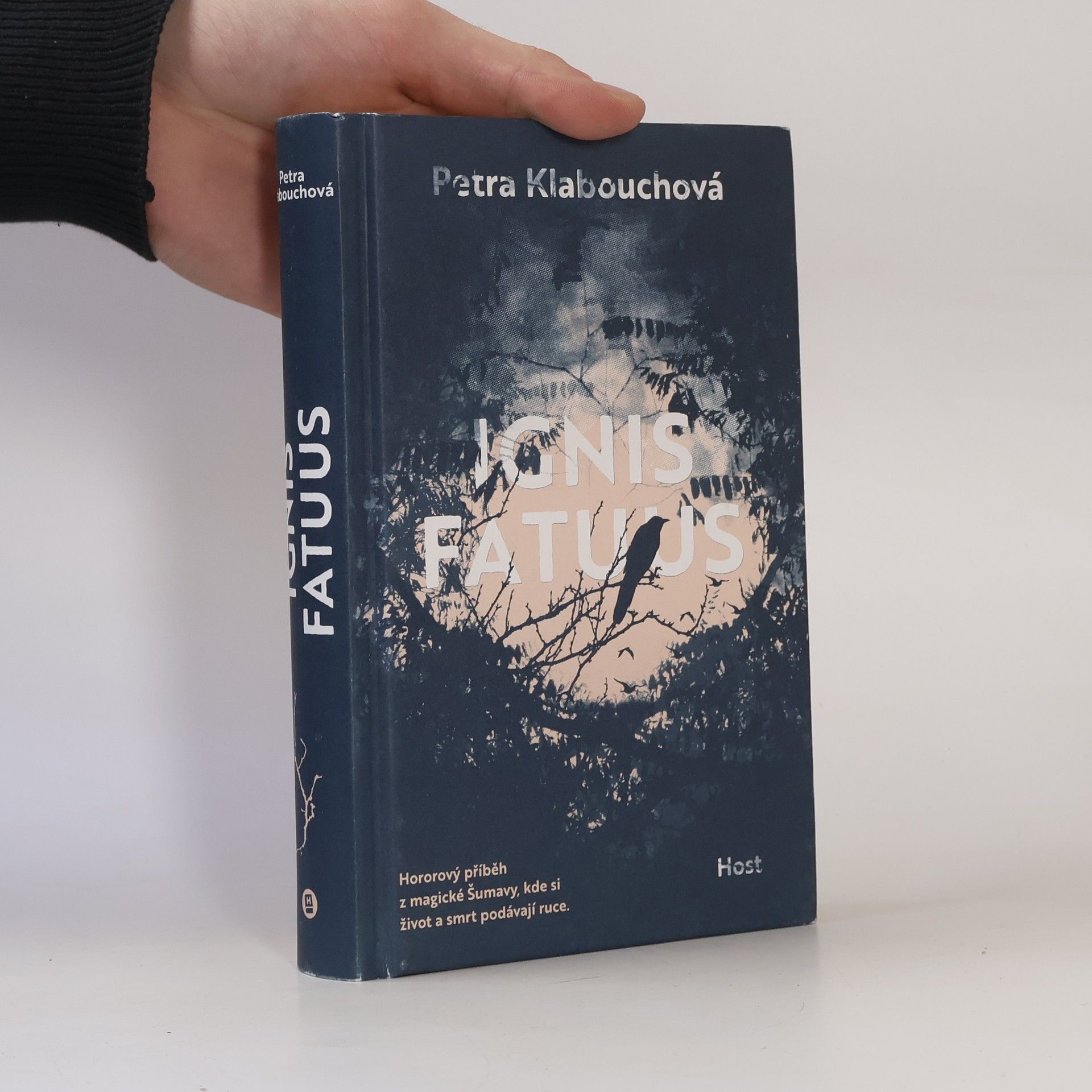 Petra Klabouchová Ignis Fatuus