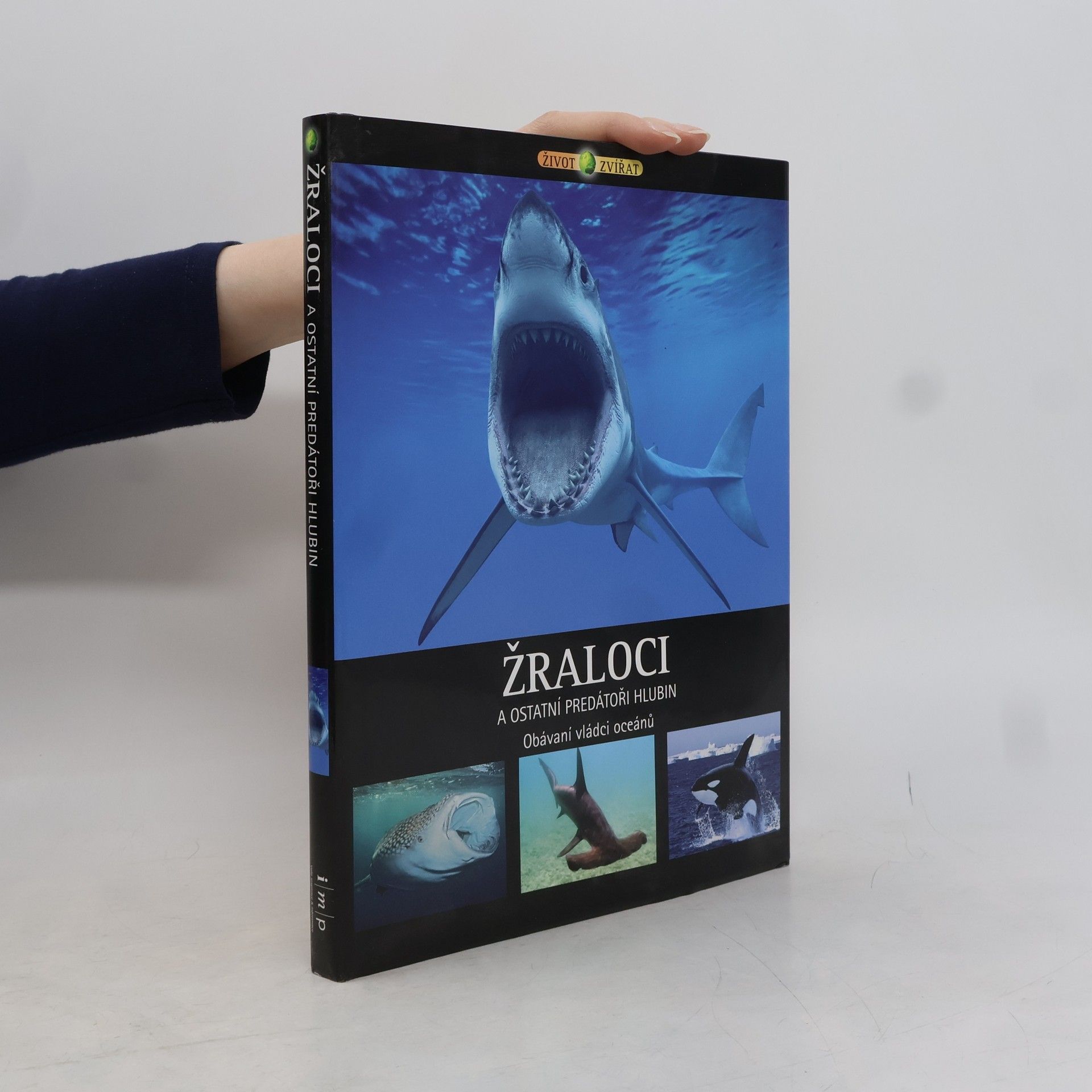 Michael Fokt Žraloci a ostatní predátoři hlubin