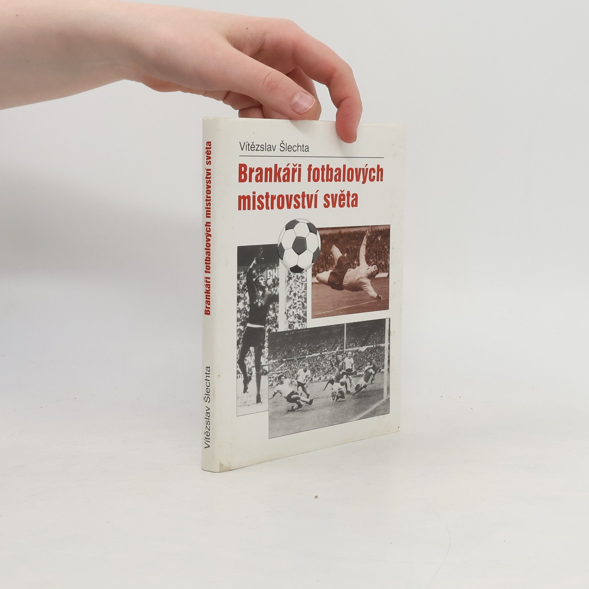 Vítězslav Šlechta Brankáři fotbalových mistrovství světa