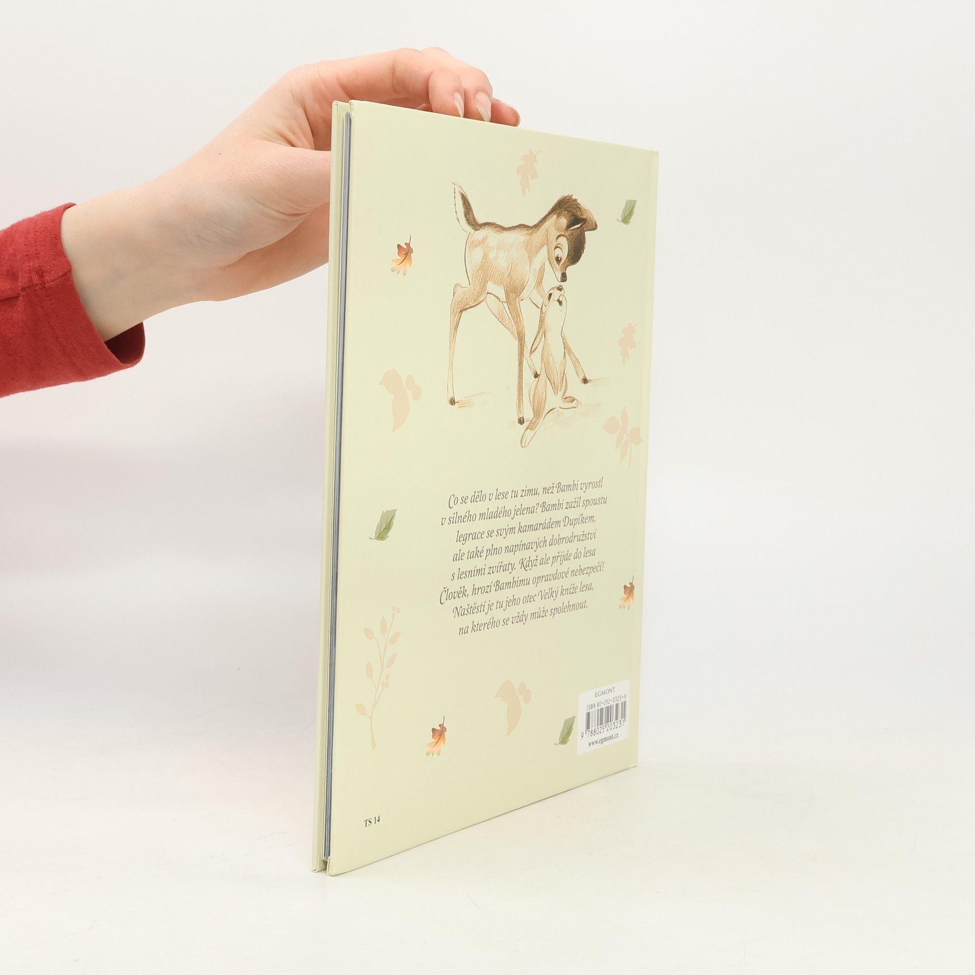 Collectif d'auteurs Bambi 2
