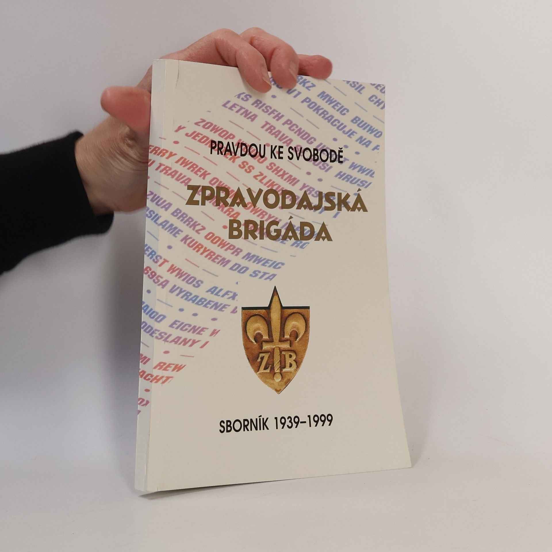 Zpravodajská brigáda