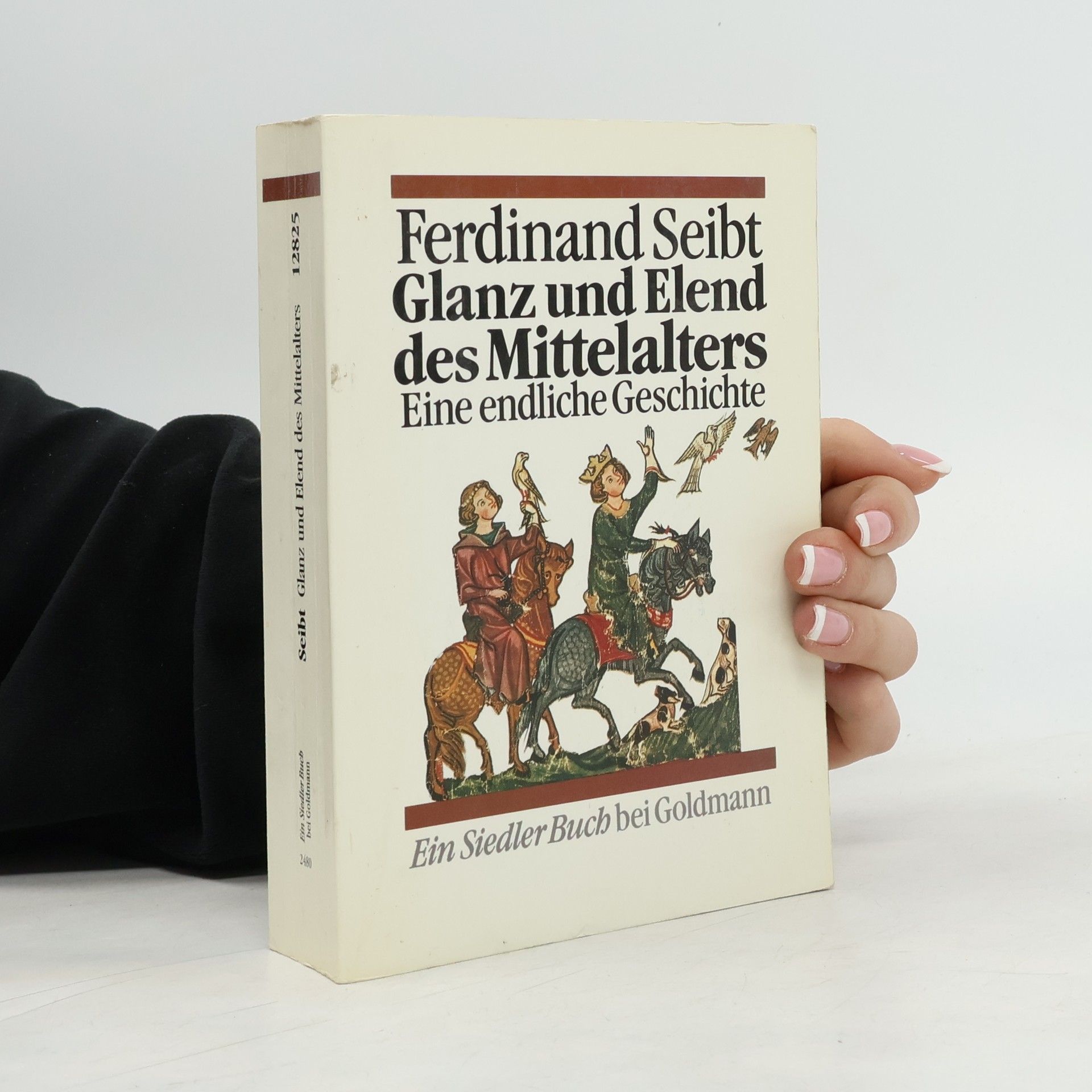 Ferdinand Seibt Glanz und Elend des Mittelalters : eine endliche Geschichte