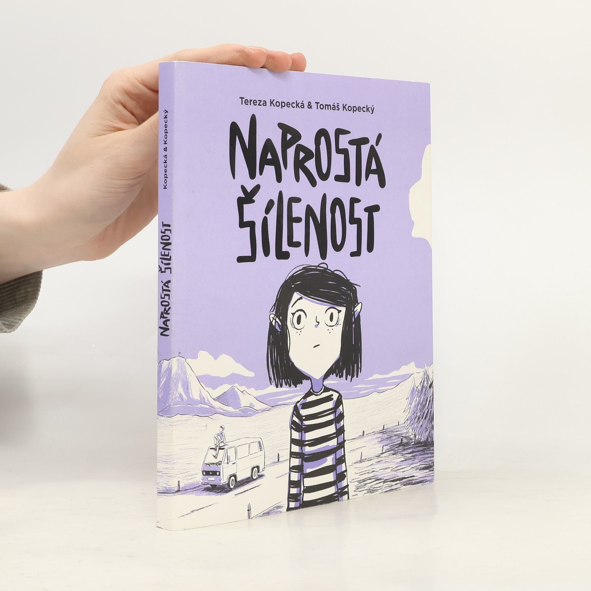 Tereza Kopecká Naprostá šílenost: Anna na cestě z úzkosti