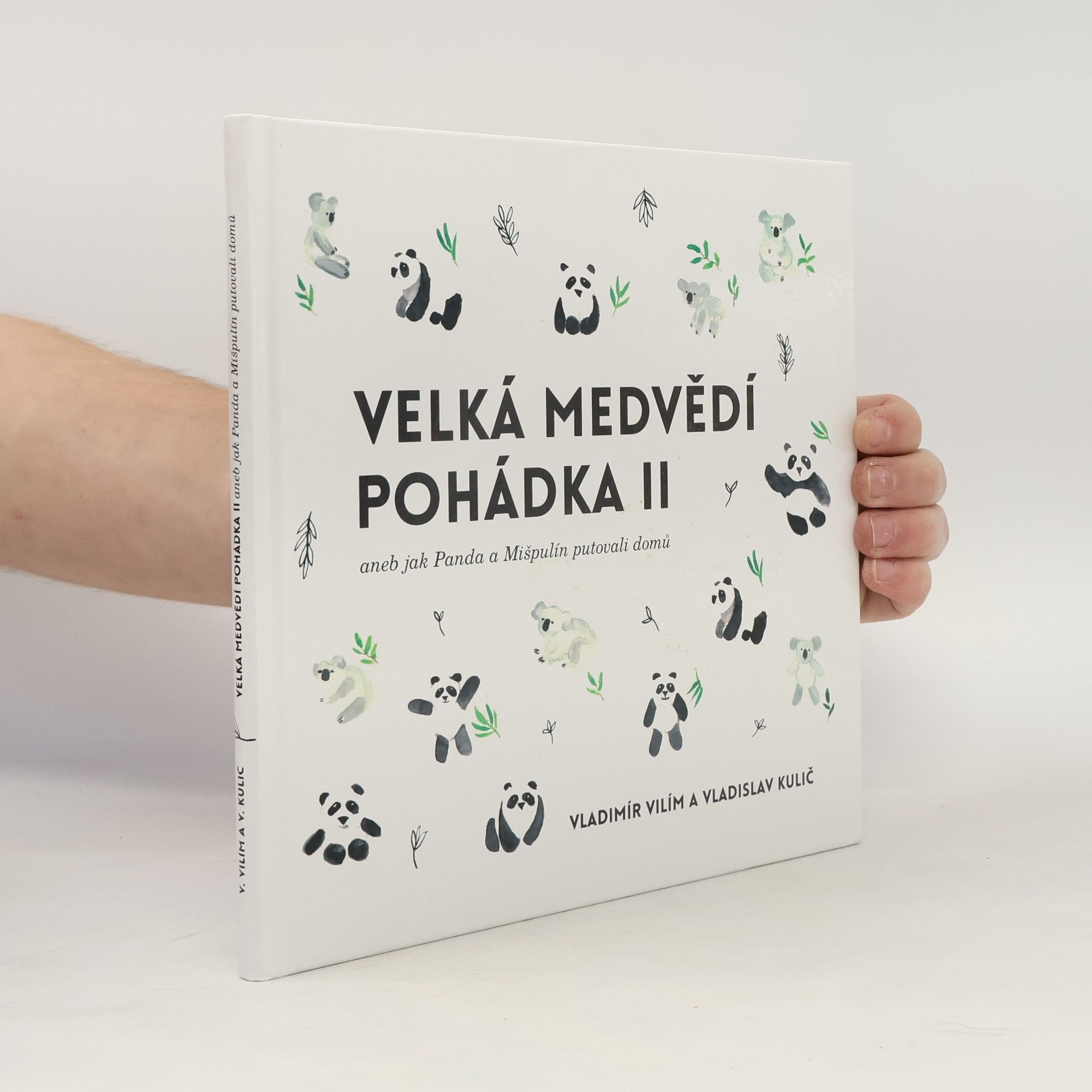 Velká medvědí pohádka II.