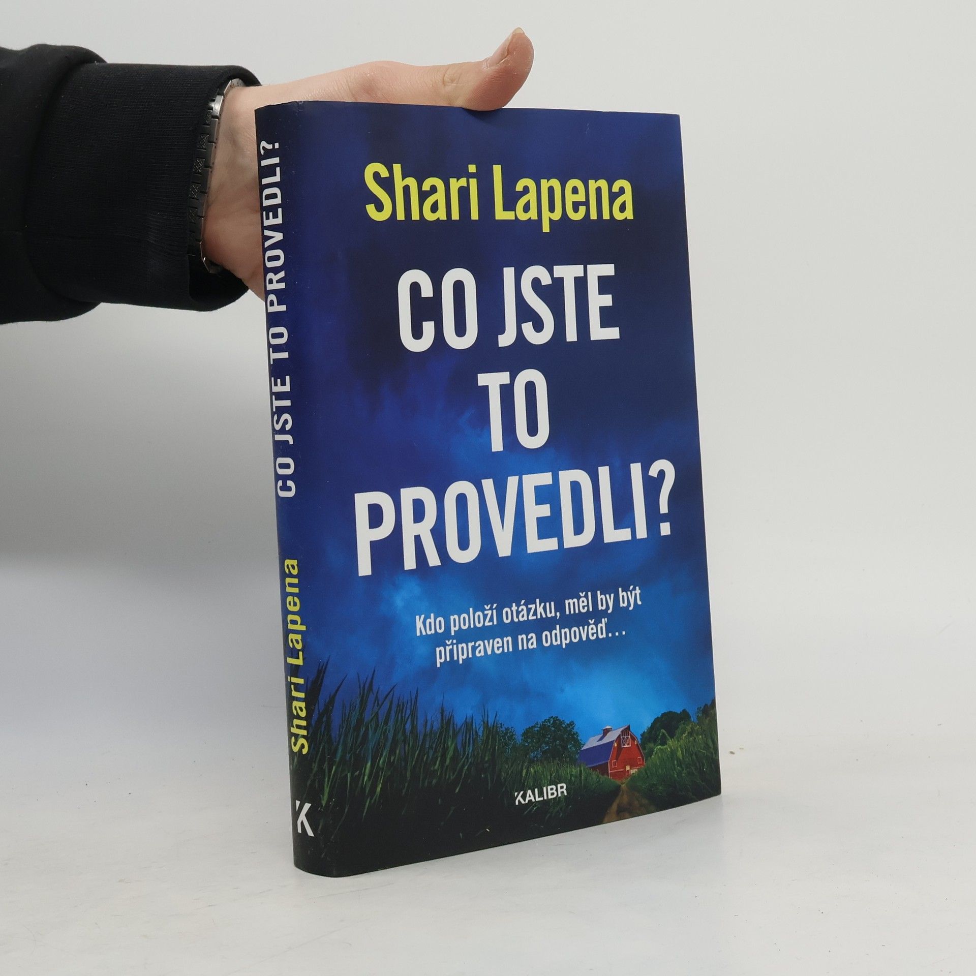 Shari Lapena Co jste to provedli?
