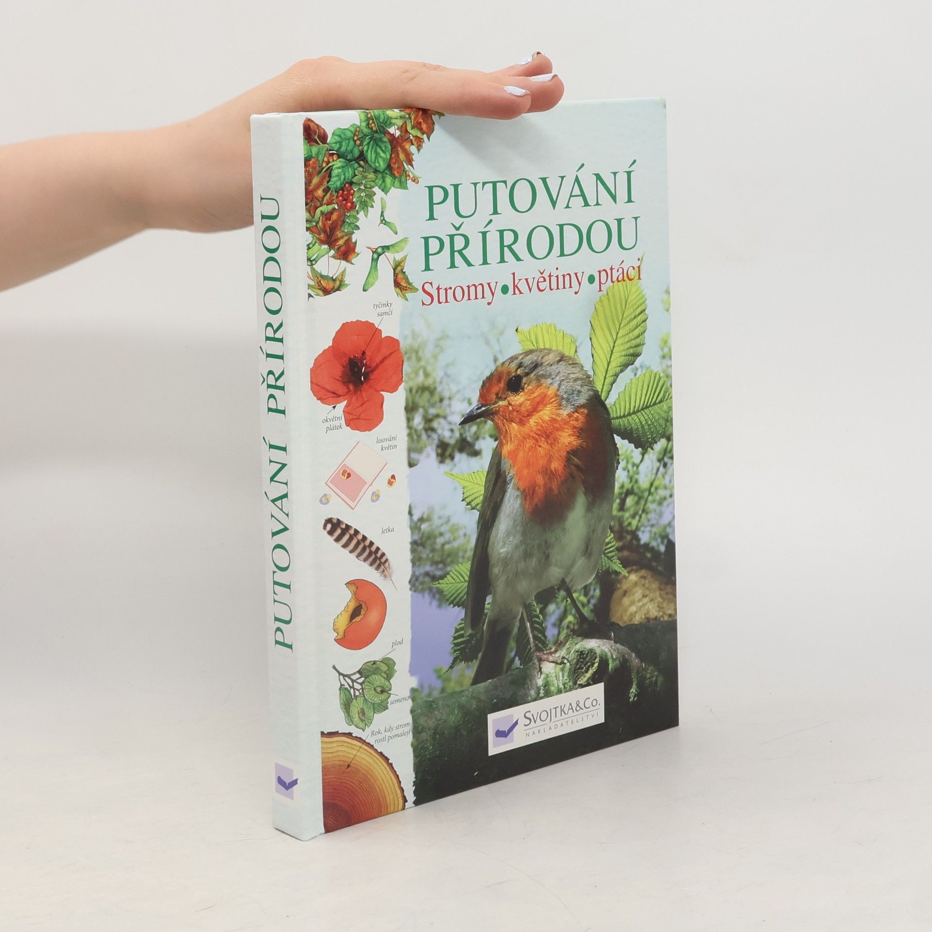 Kolektiv autorů Putování přírodou: Stromy, květiny, ptáci