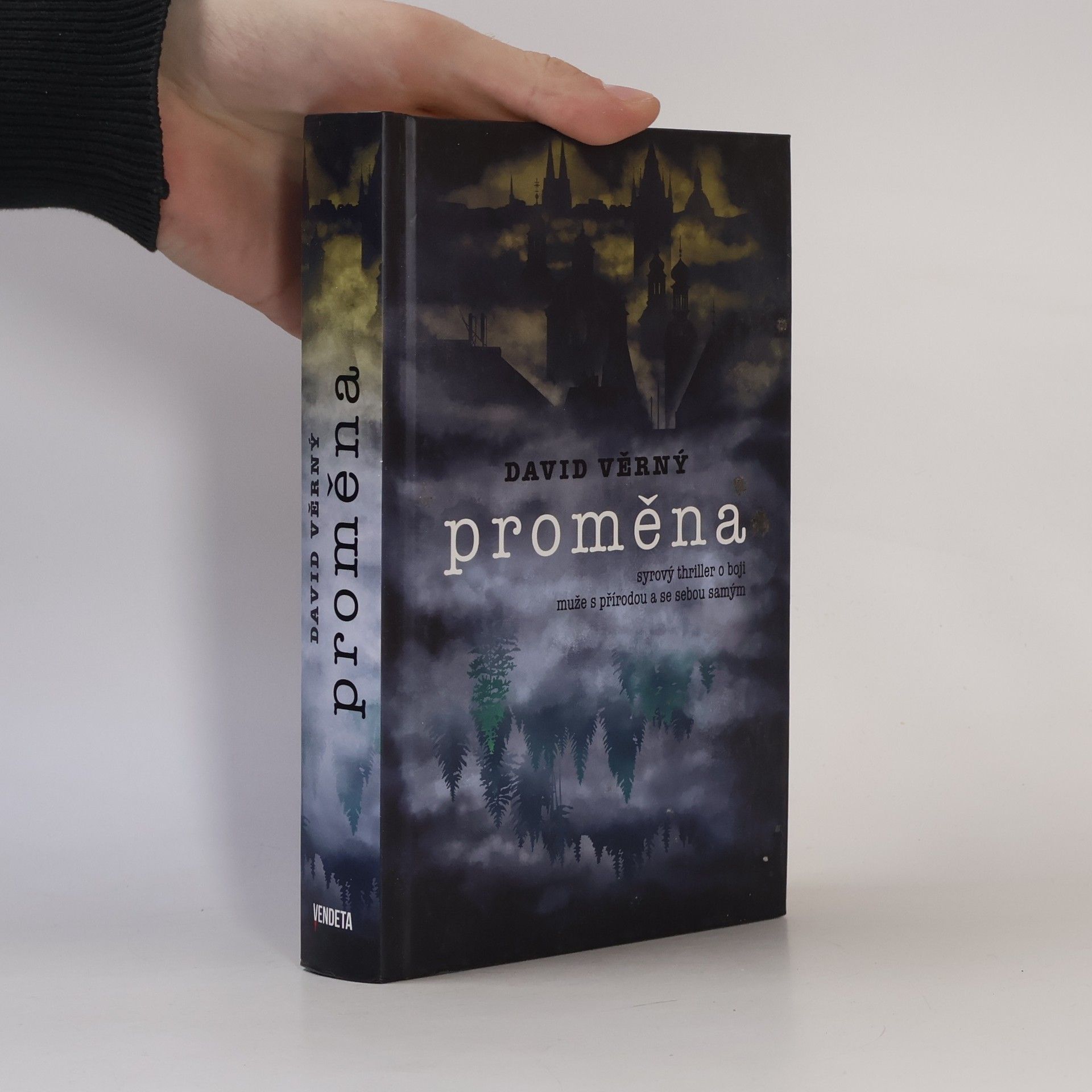 David Věrný Proměna