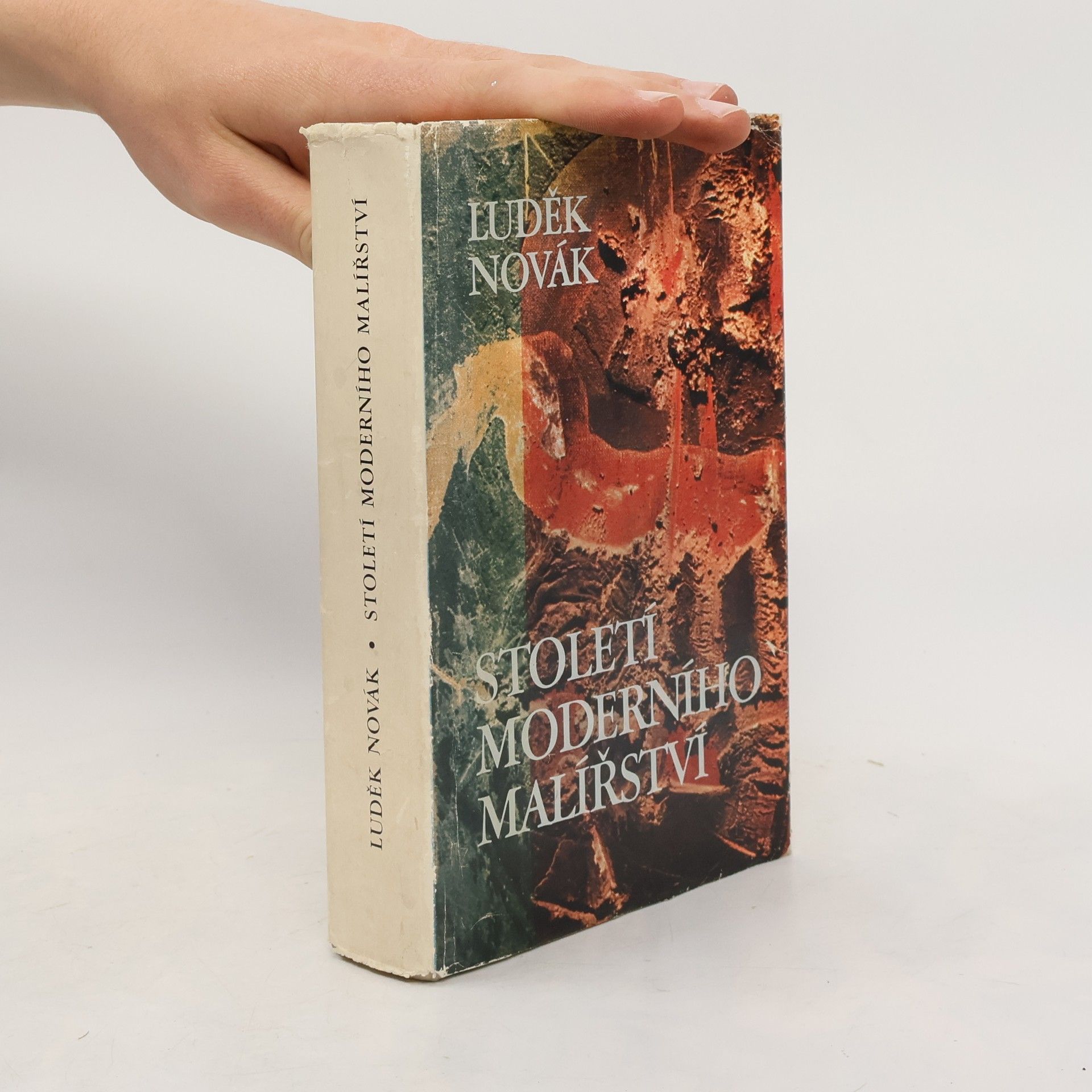Luděk Novák Století moderního malířství 1865-1965