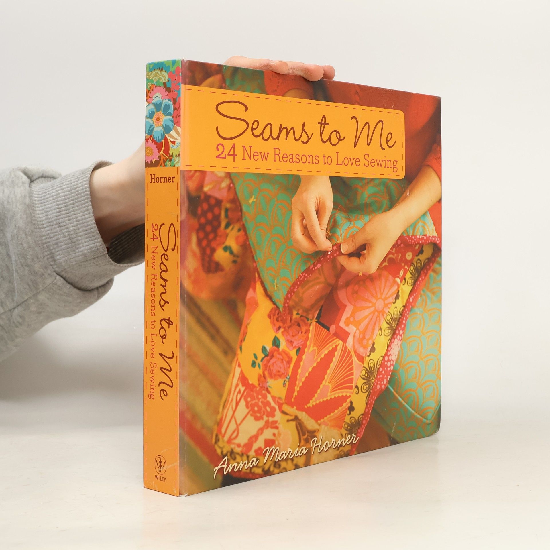 Anna Maria Horner Seams to Me