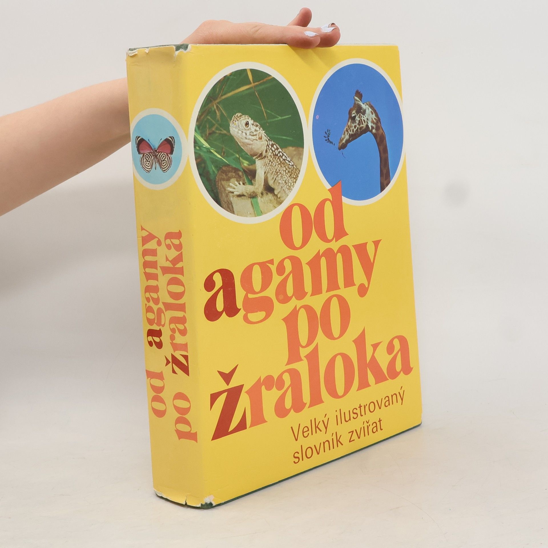 Kolektiv autorů Od agamy po žraloka. Velký ilustrovaný slovník zvířat