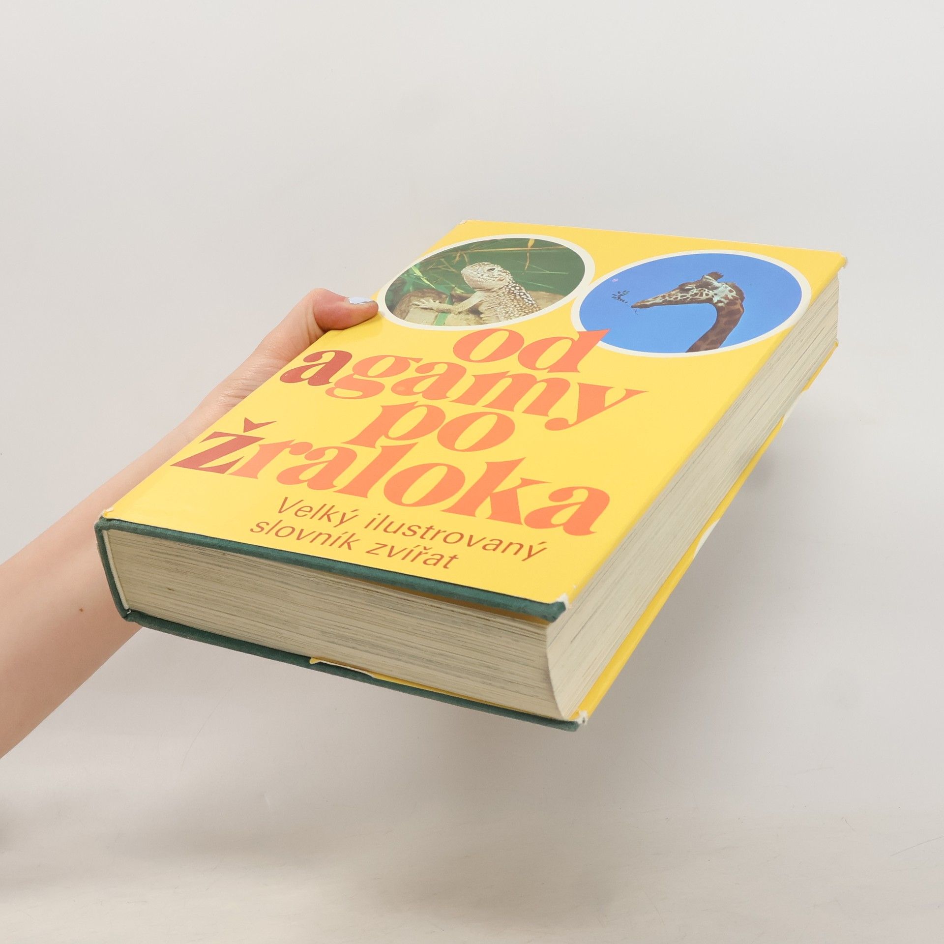 Kolektiv autorů Od agamy po žraloka. Velký ilustrovaný slovník zvířat