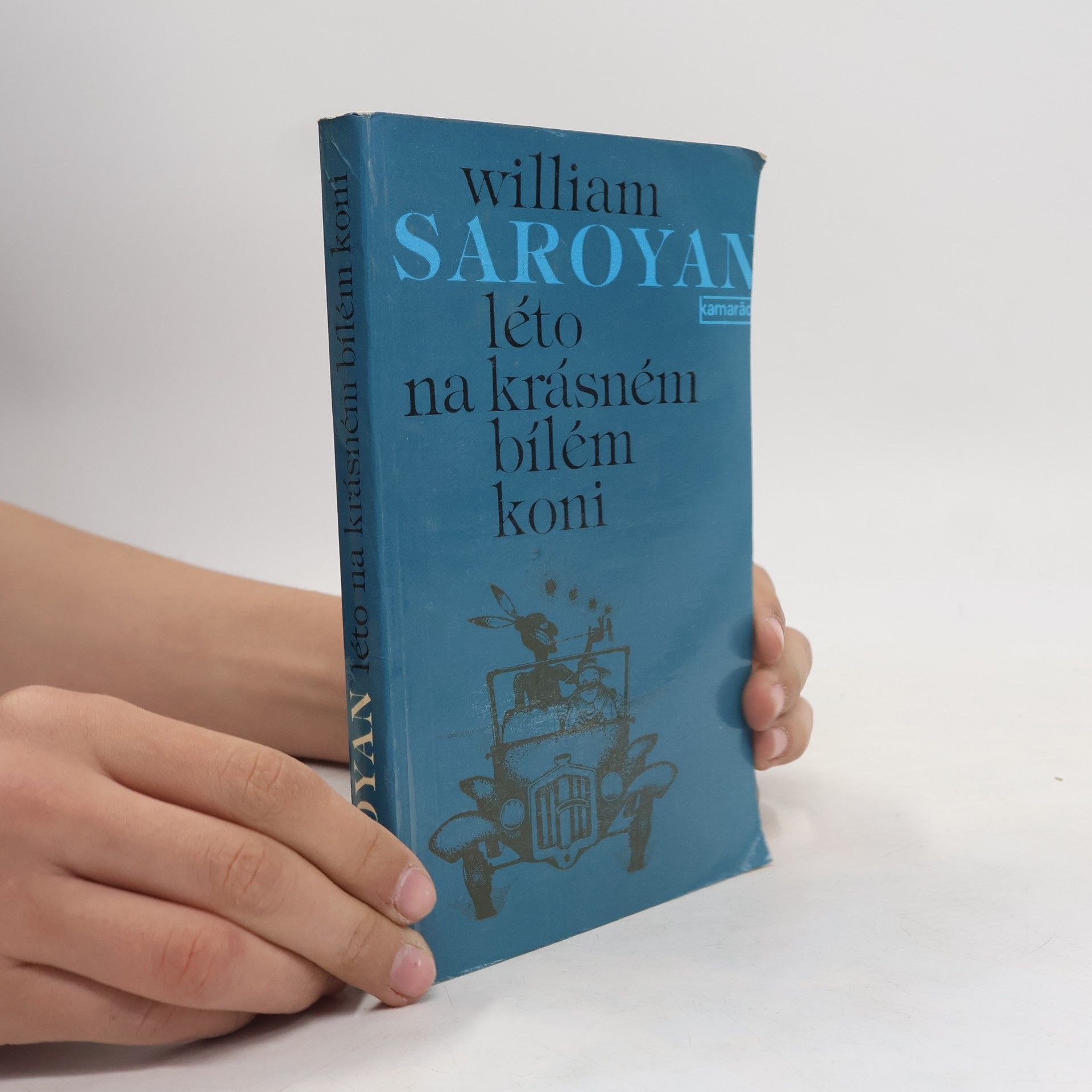 Léto na krásném bílém koni