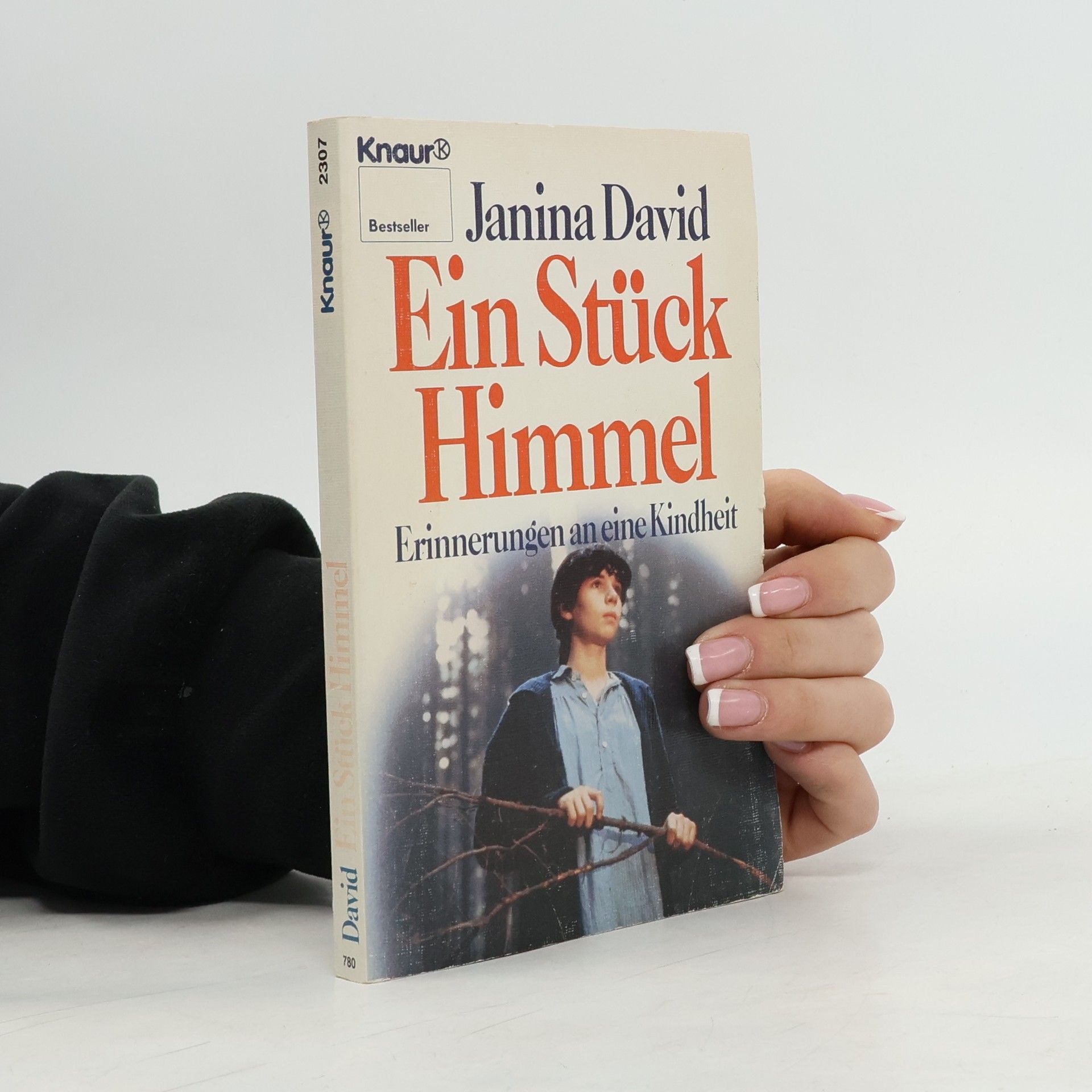 Janina David Ein Stück Himmel