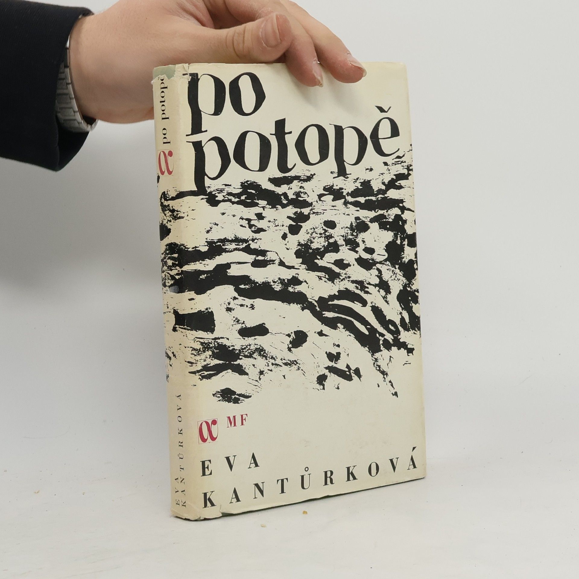 Eva Kantůrková Po potopě