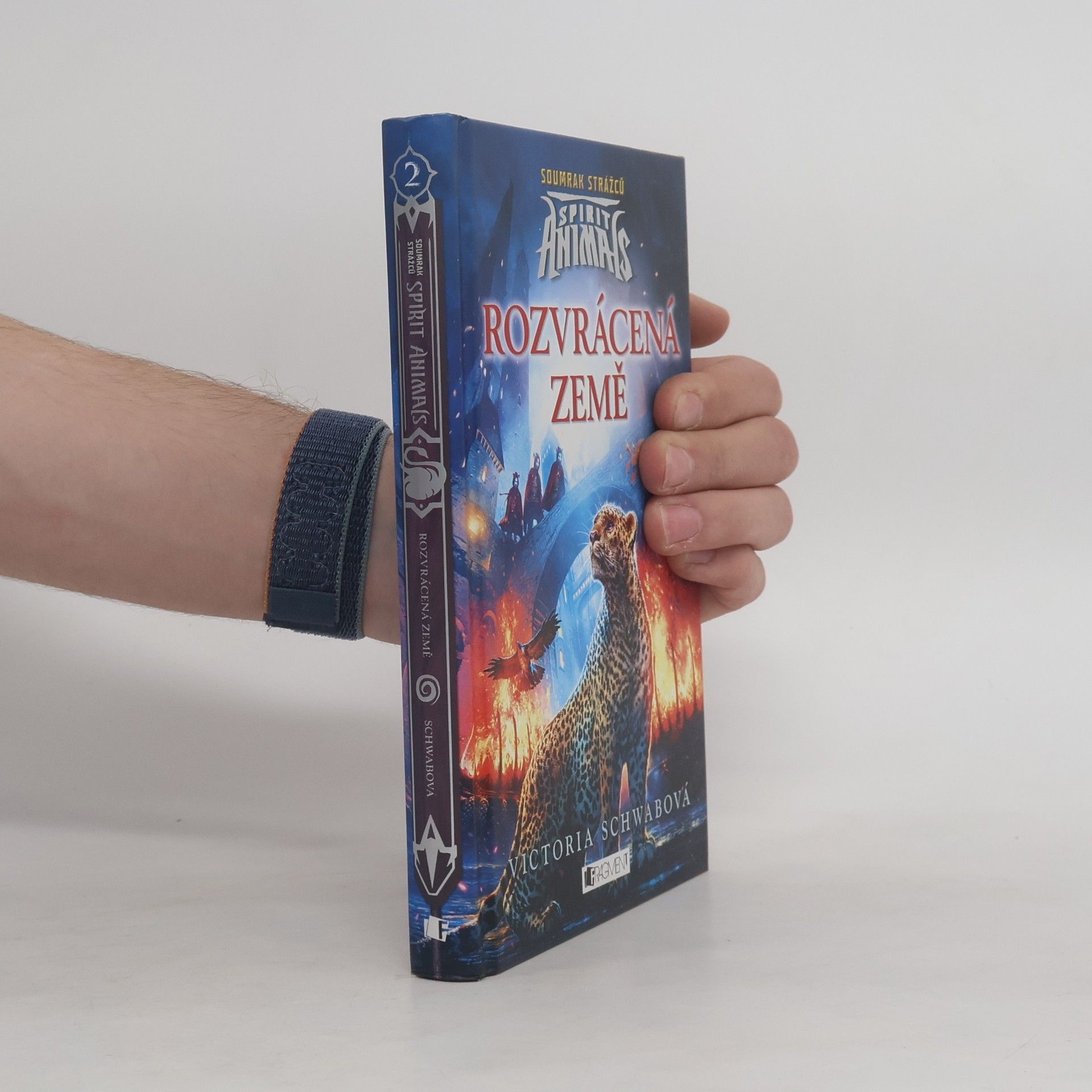 Victoria Schwabová Rozvrácená země