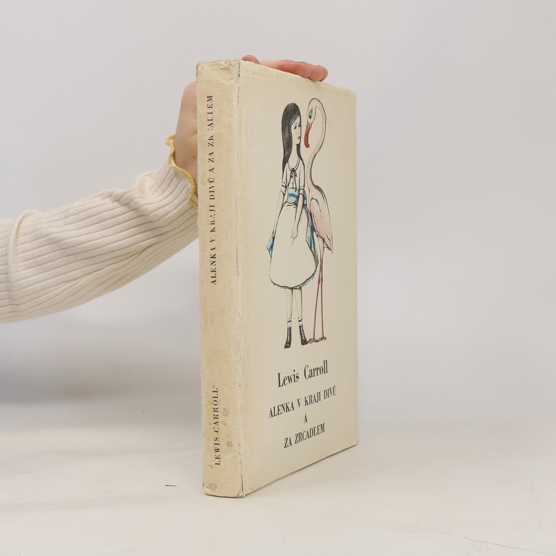 Lewis Carroll Alenka v kraji divů a za zrcadlem