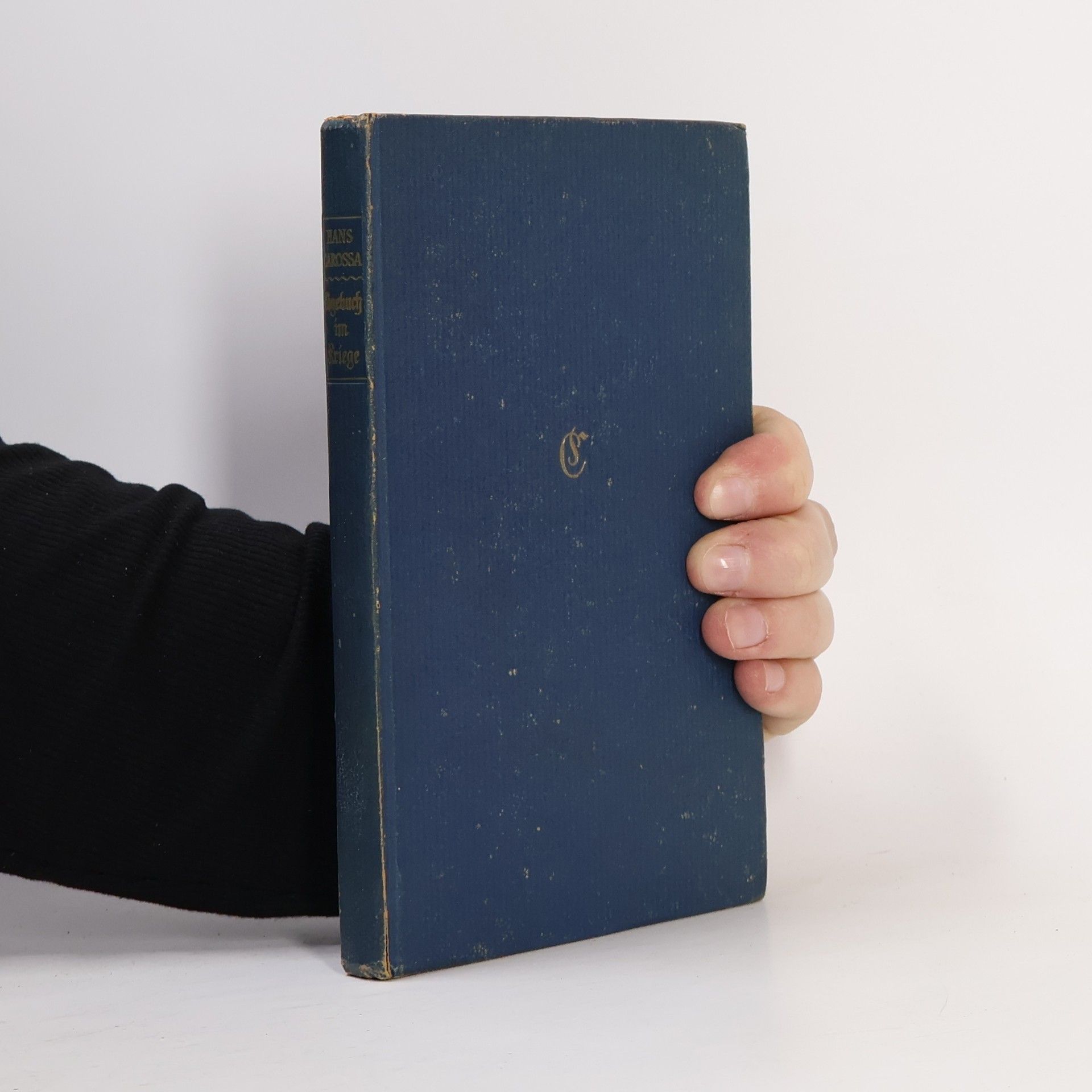 Hans Carossa Tagebuch im Kriege