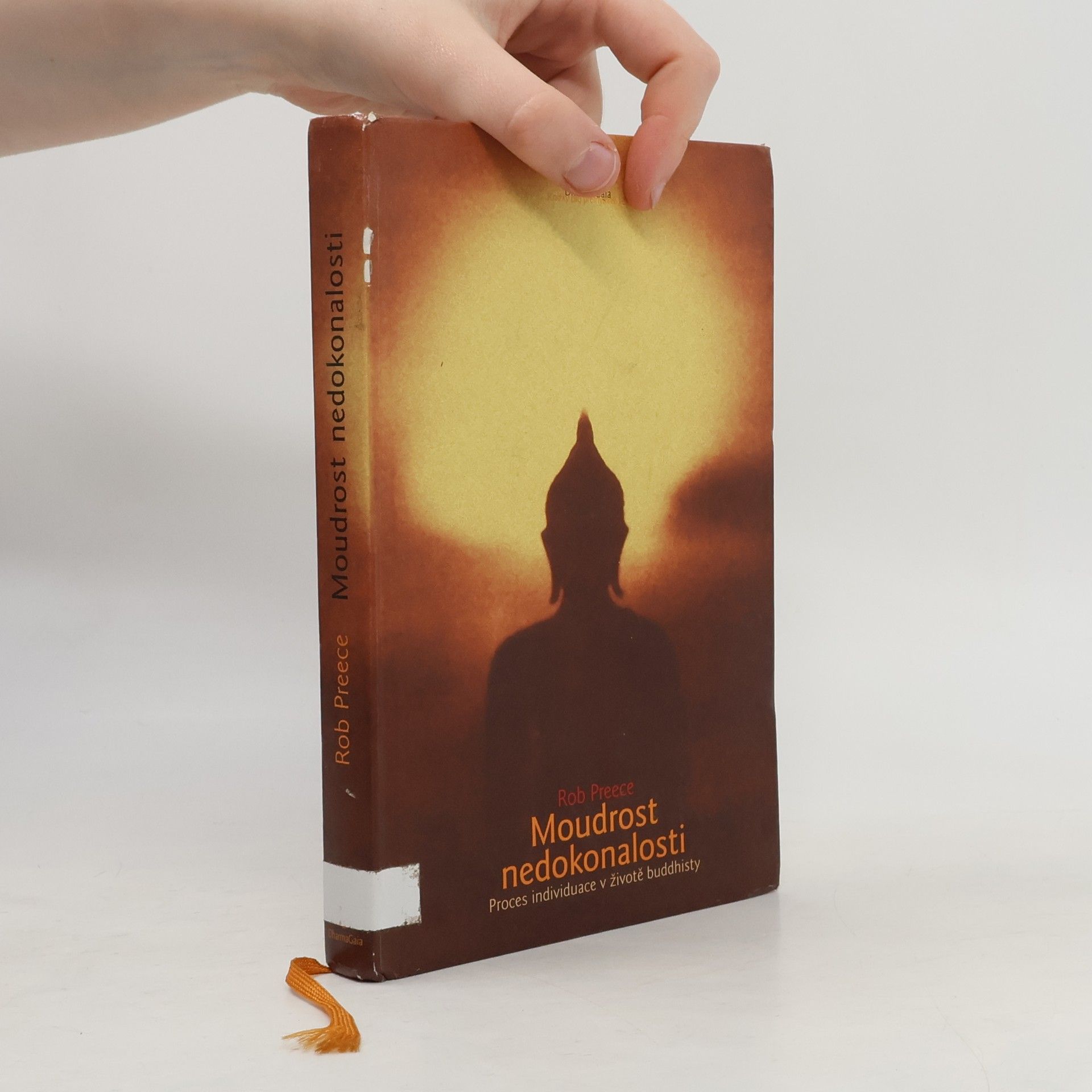 Rob Preece Moudrost nedokonalosti