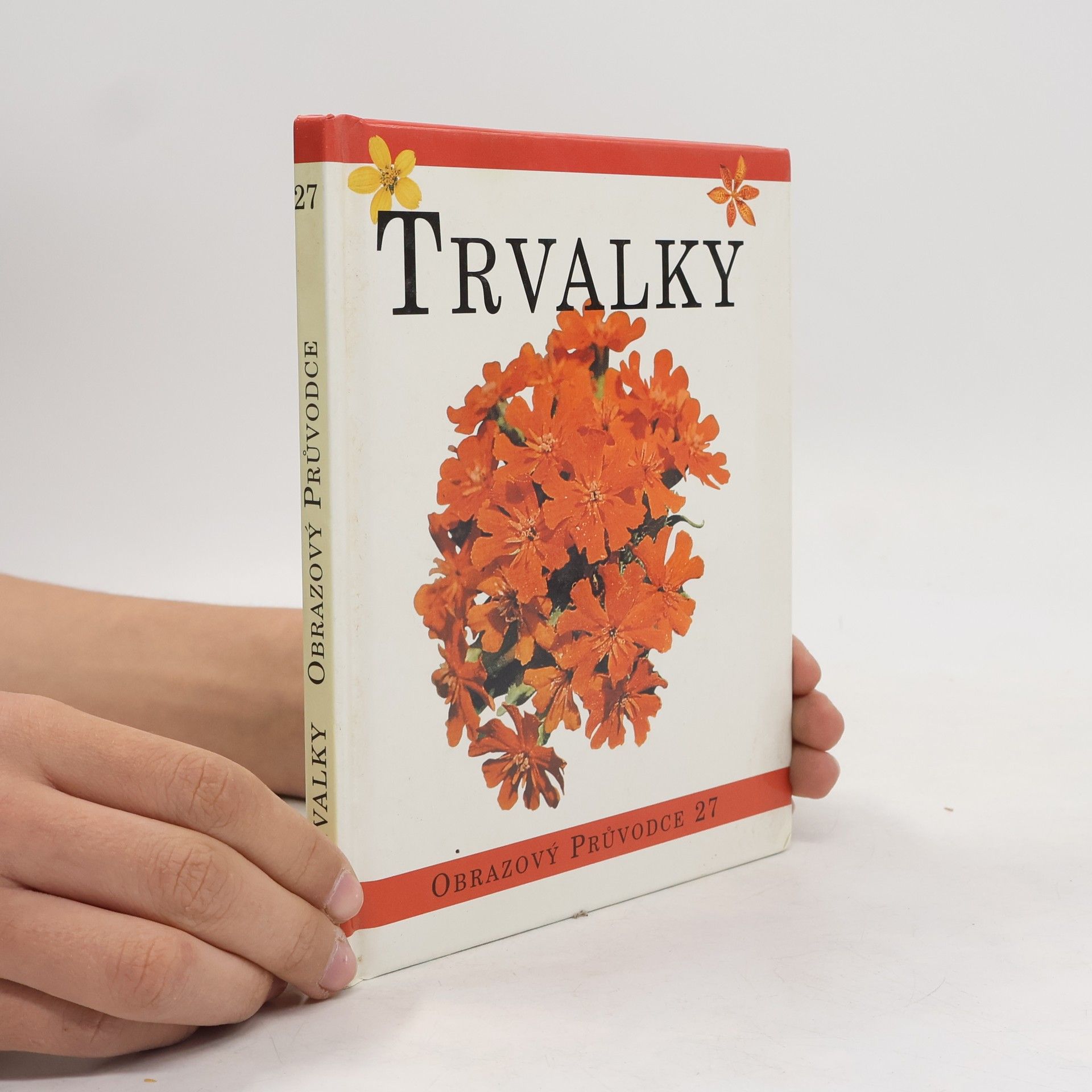 Petra Narandžičová Trvalky