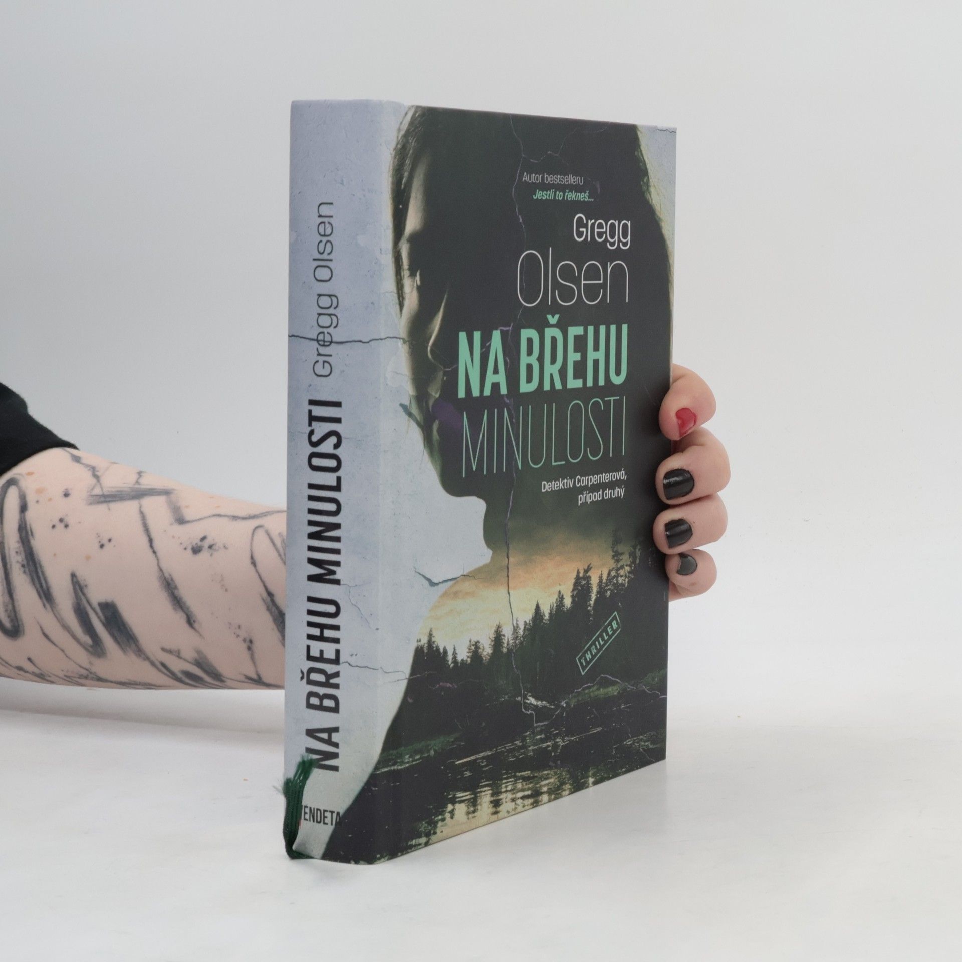 Gregg Olsen Na břehu minulosti
