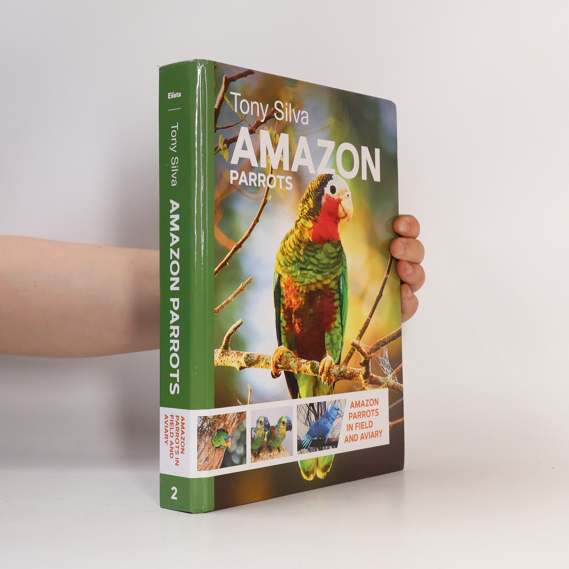Tony Silva Amazon Parrots 2