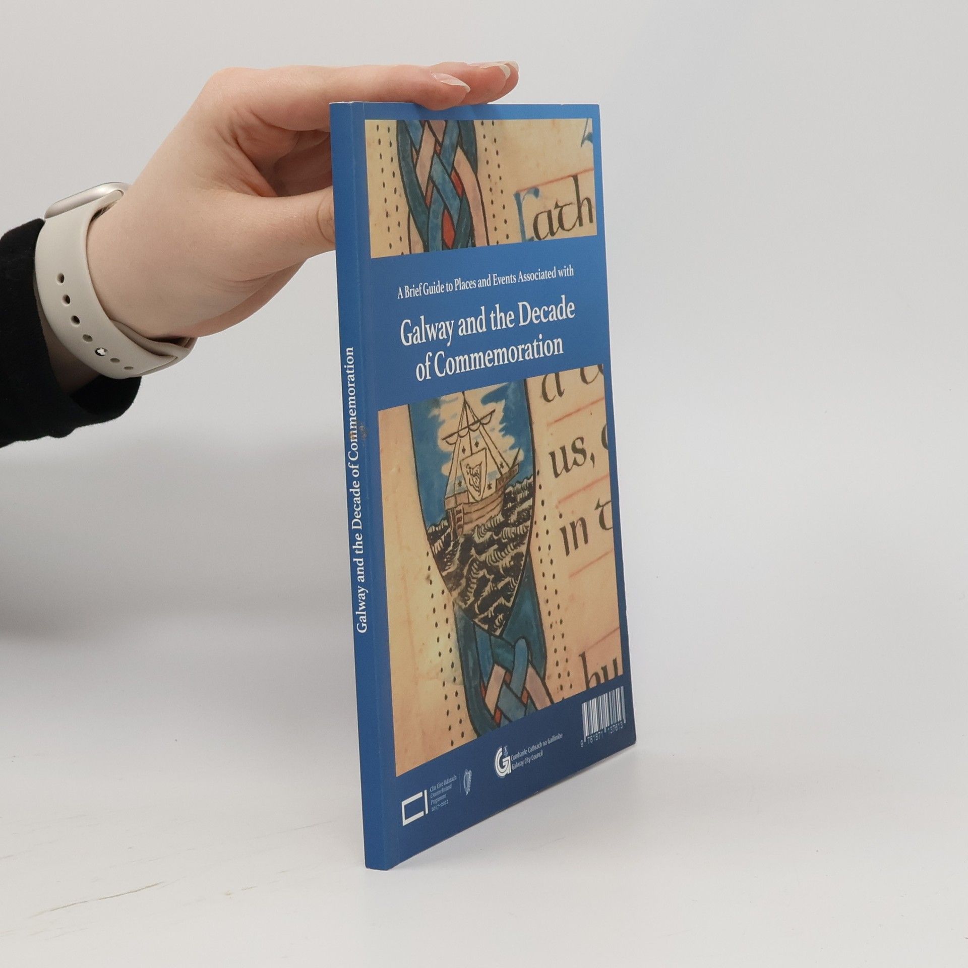 Kolektív autorov Galway and the Decade of Commemoration