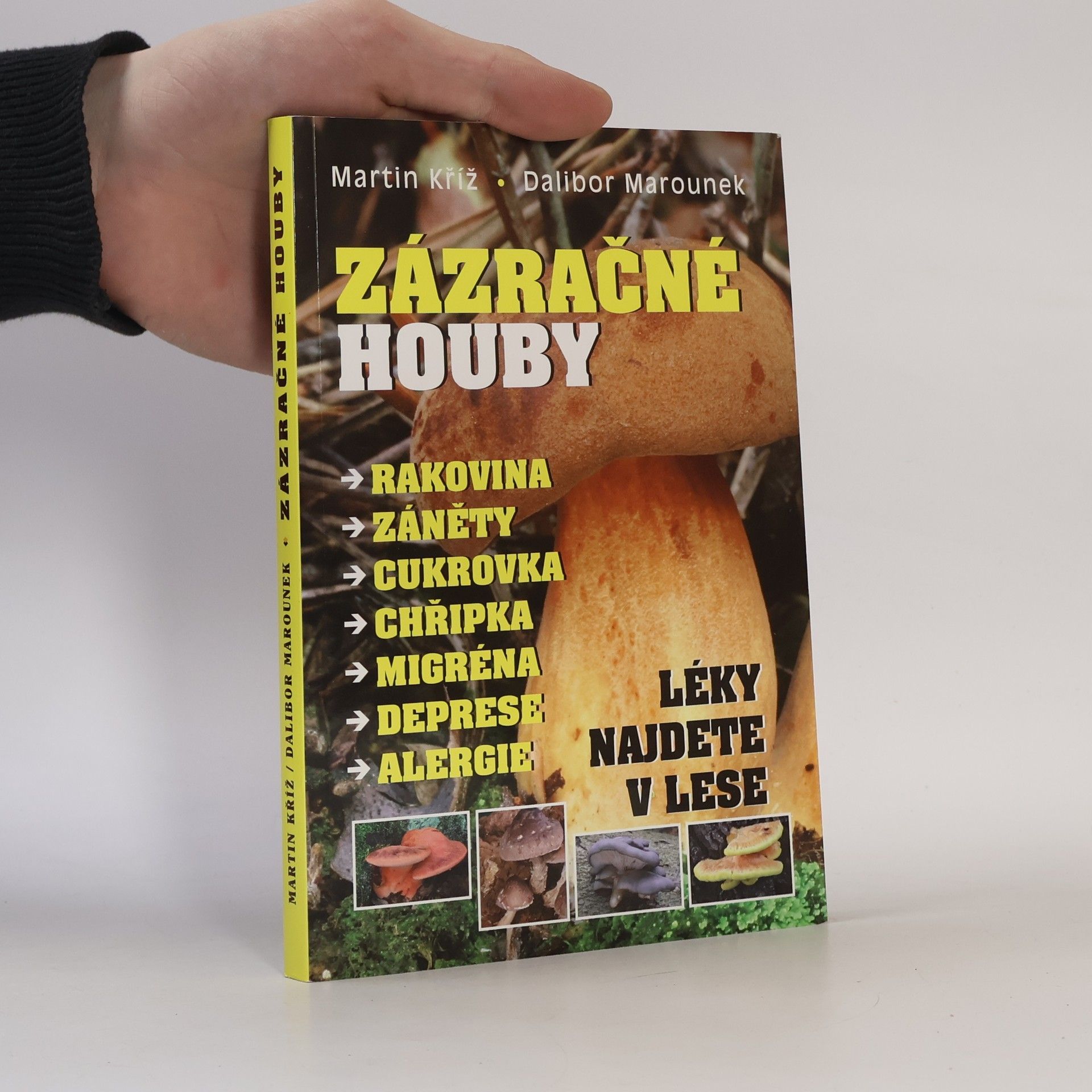 Dalibor Marounek Zázračné houby : rakovina, záněty, cukrovka, chřipka, migréna, deprese, alergie : léky najdete v lese