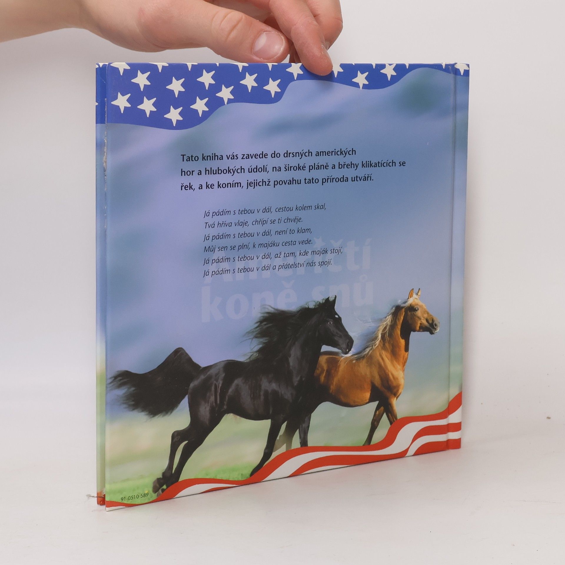 Kolektív autorov Američtí koně snů