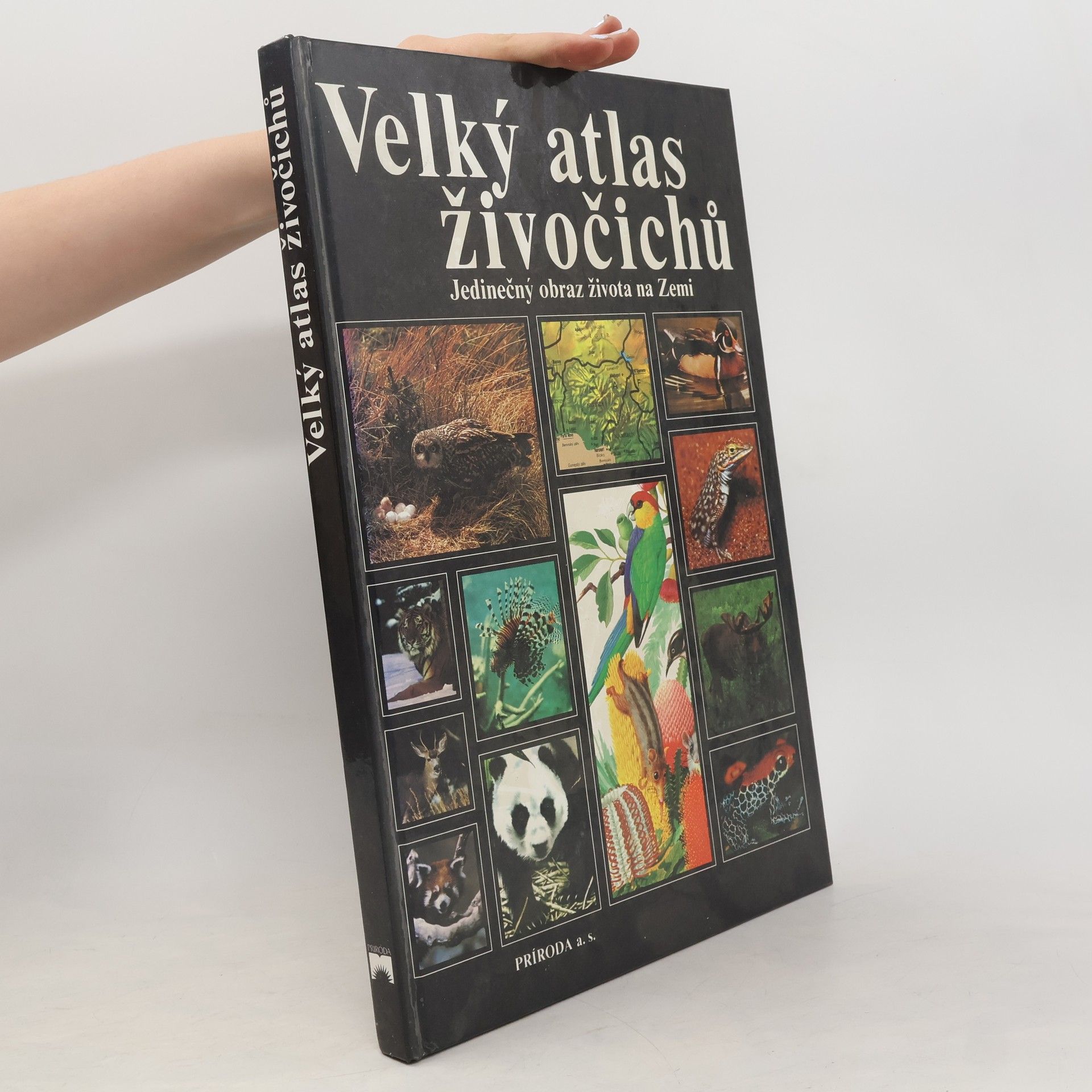 Autorenkollektiv Velký atlas živočichů
