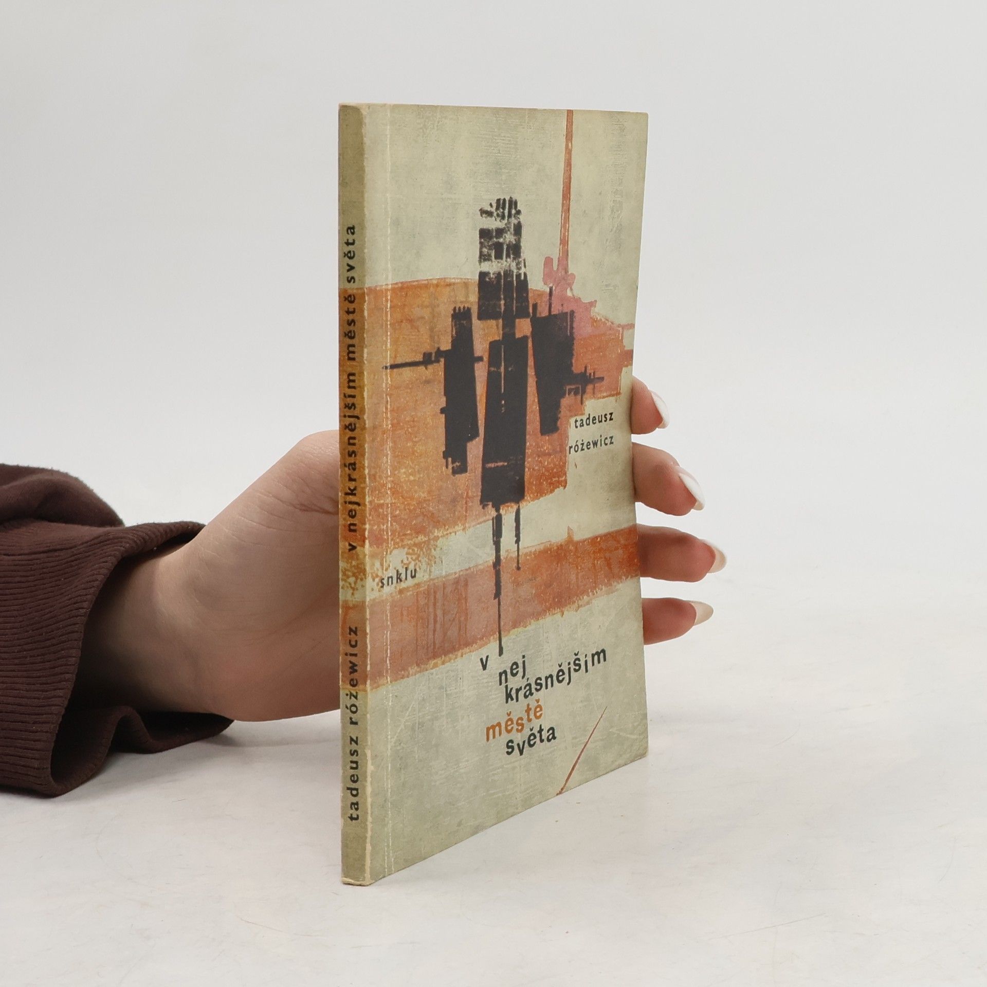 Vlasta Dvořáčková V nejkrásnějším městě světa