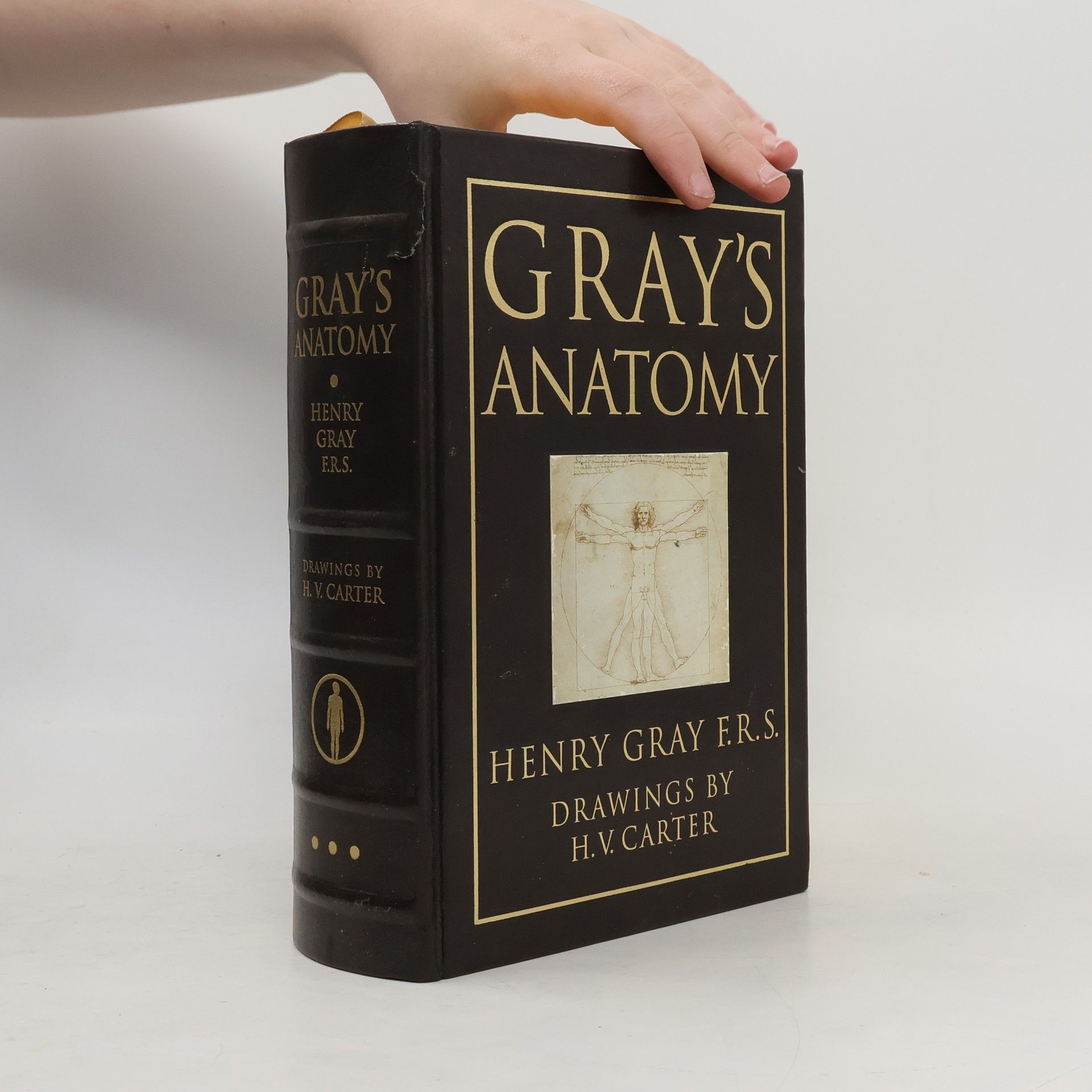 Henry Gray Gray's Anatomy