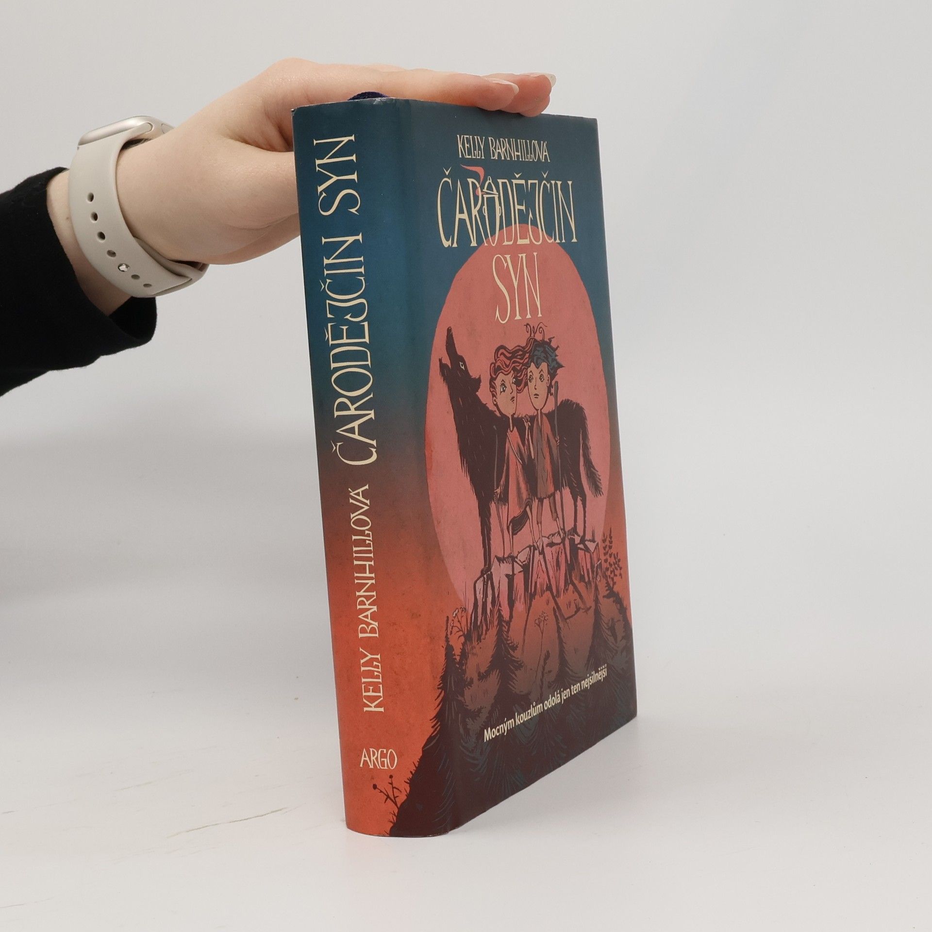 Kelly Regan Barnhill Čarodějčin syn