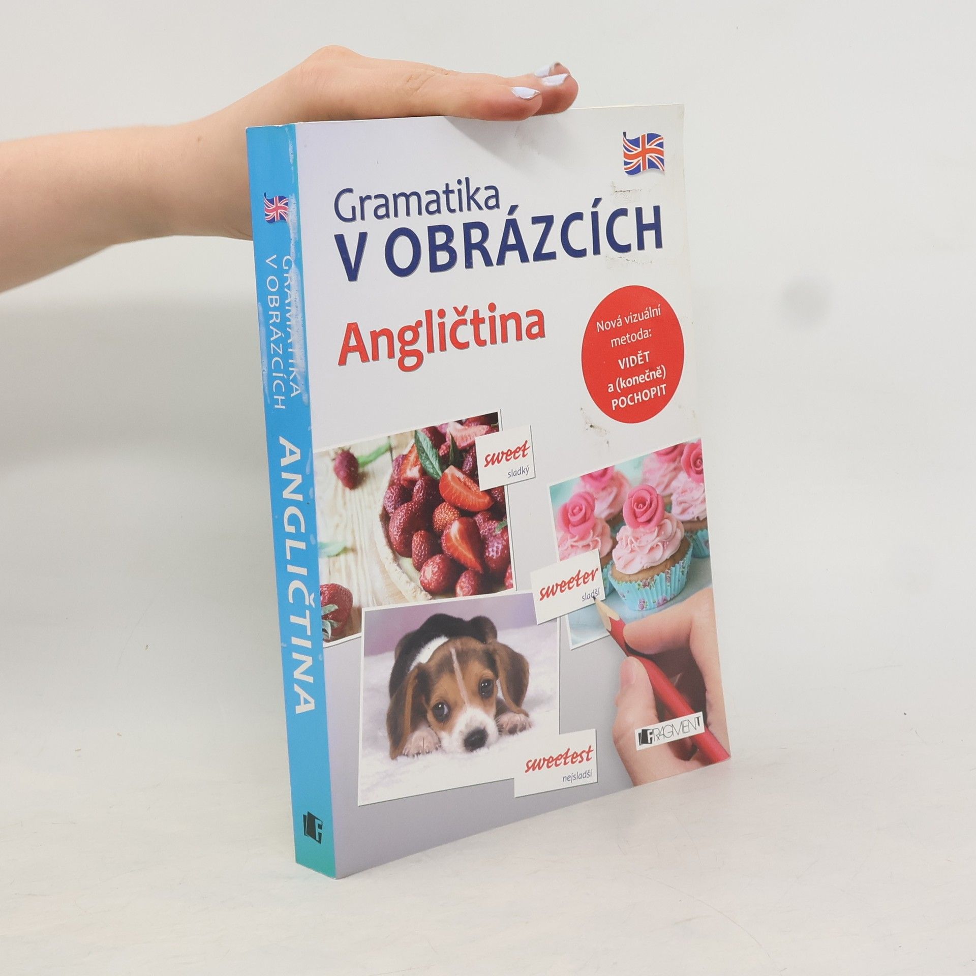 Brian Melican Gramatika v obrázcích - Angličtina