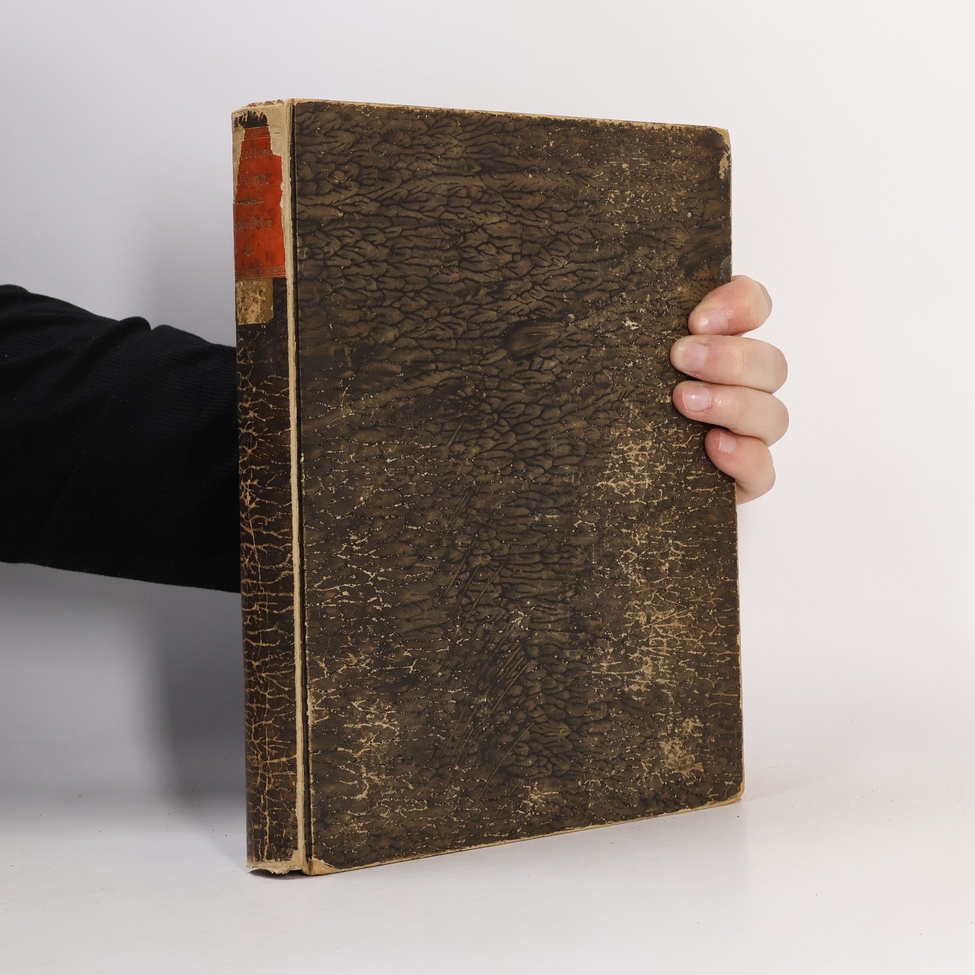 AA.VV. Novellen-Zeitung. Vierter Band