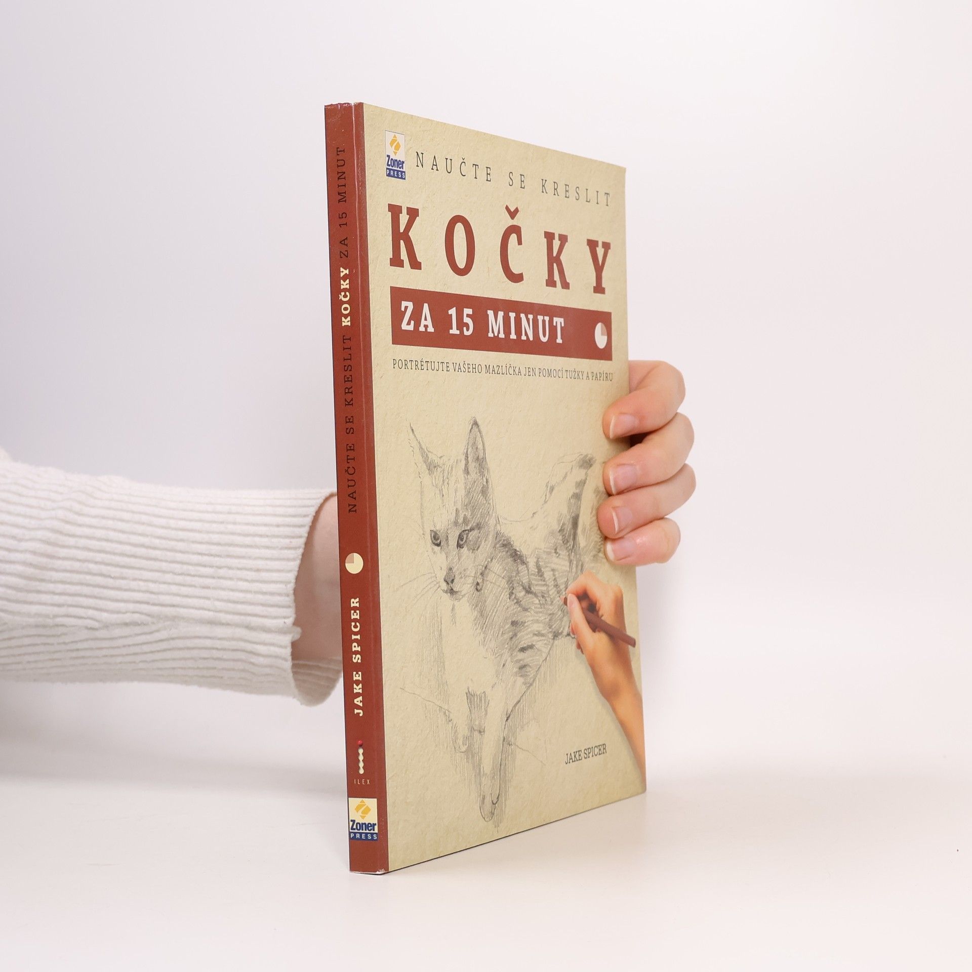 Jake Spicer Naučte se kreslit kočky za 15 minut